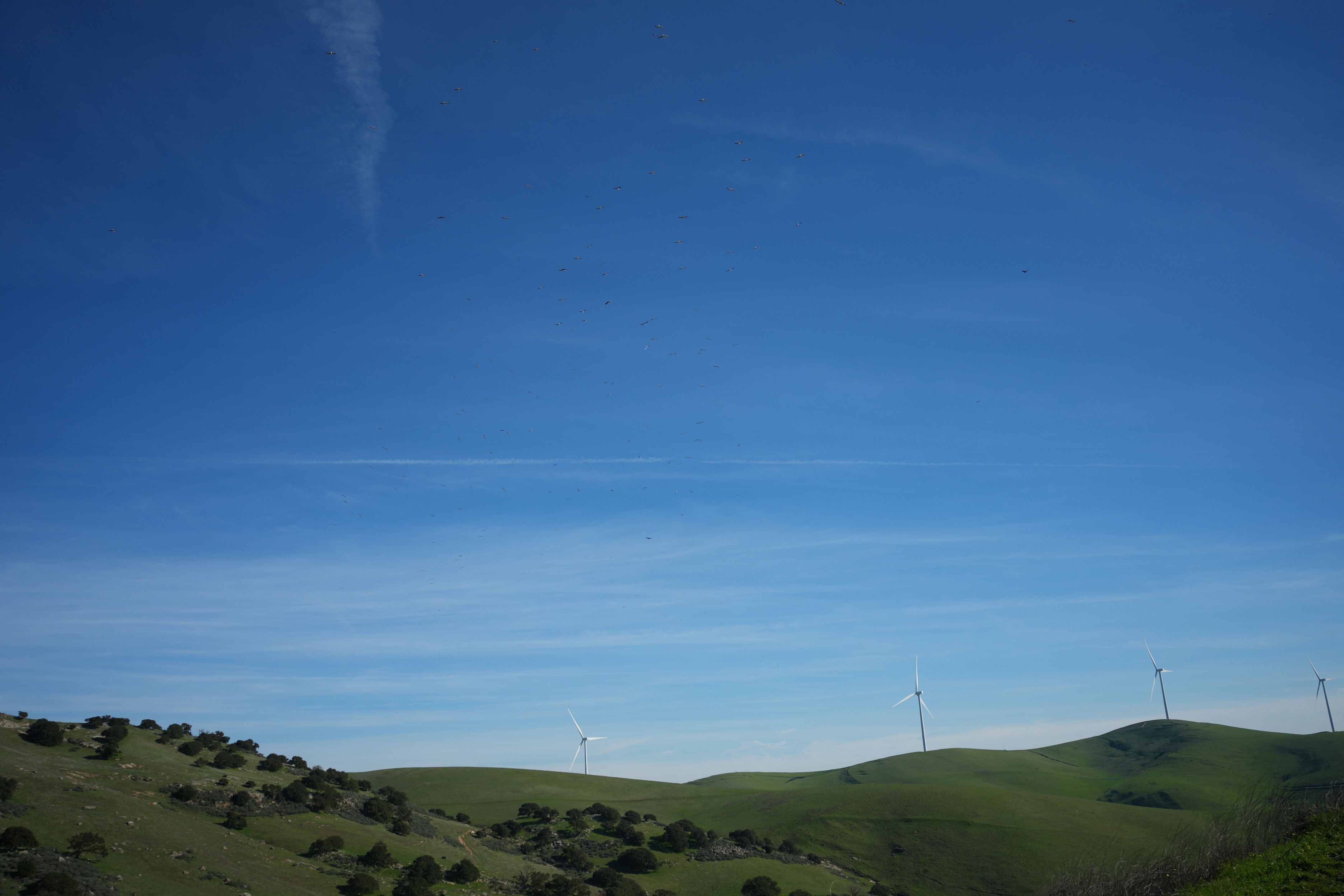 Brushy Peak Regional Preserve