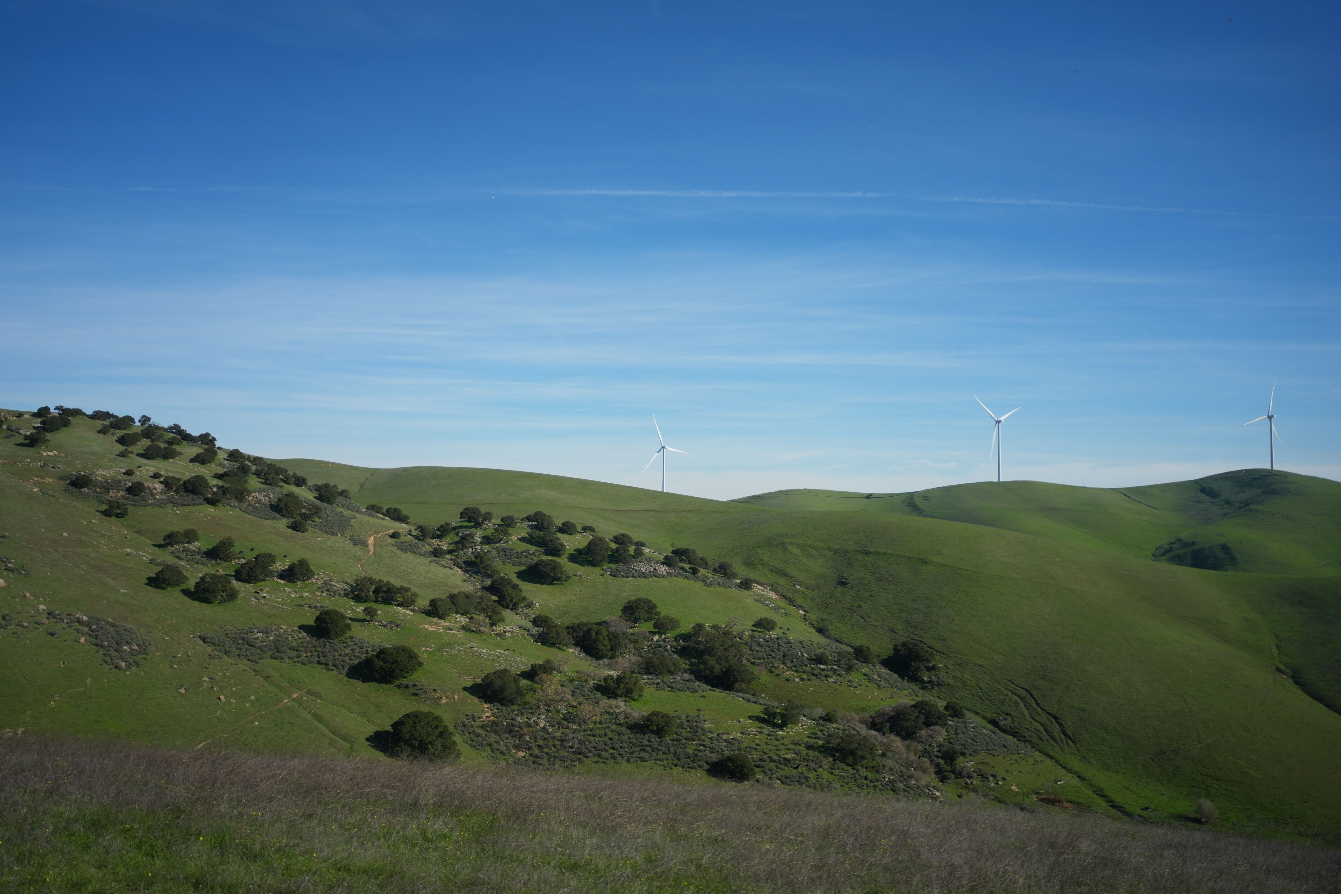Brushy Peak Regional Preserve