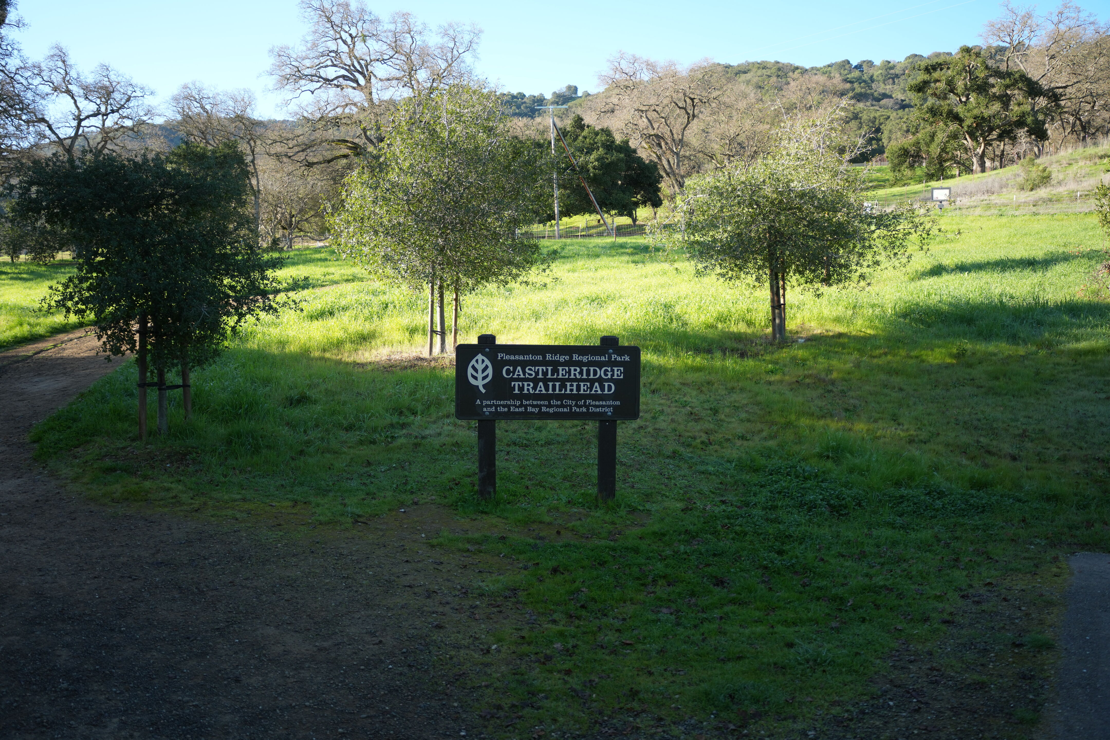 Pleasanton Ridge Regional Park