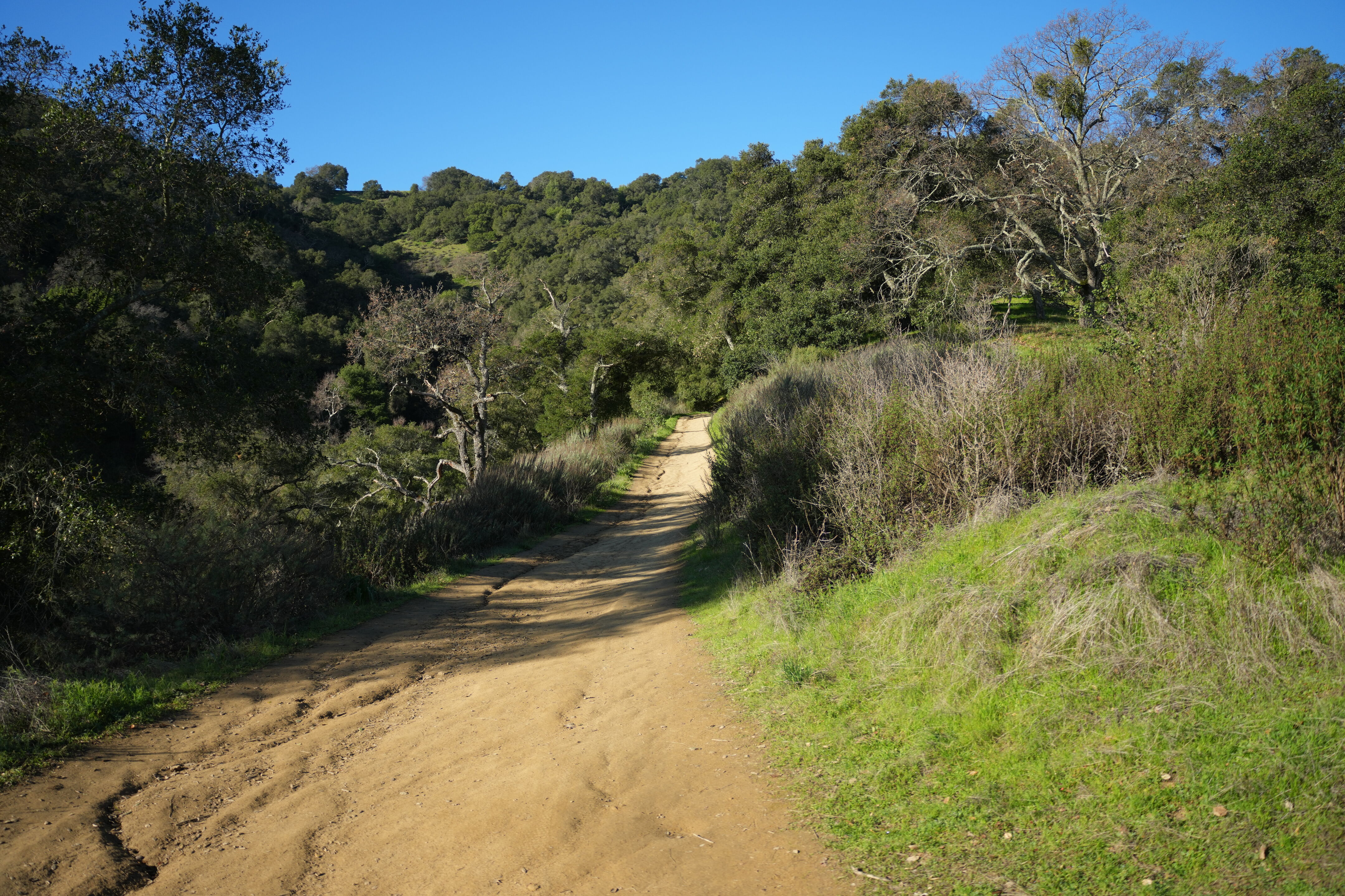Pleasanton Ridge Regional Park