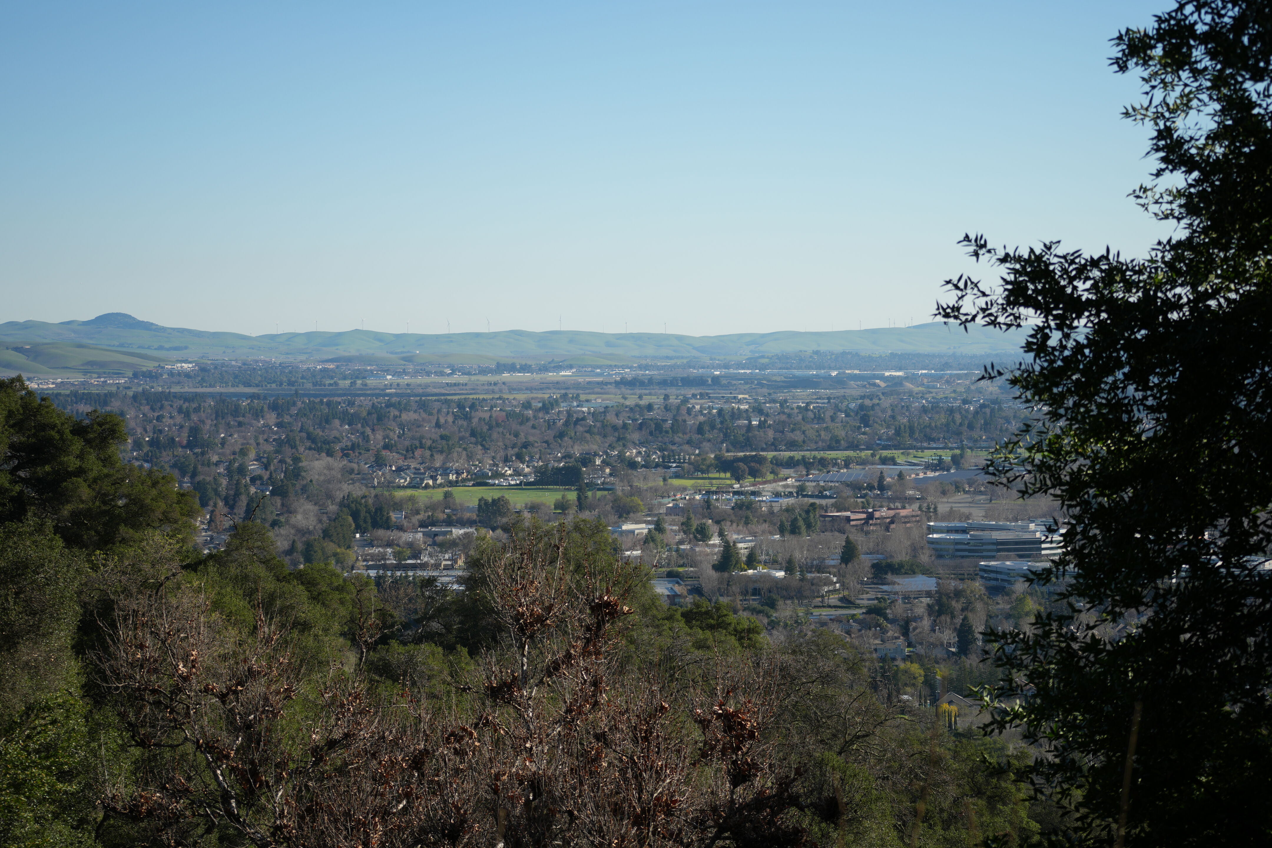 Pleasanton Ridge Regional Park