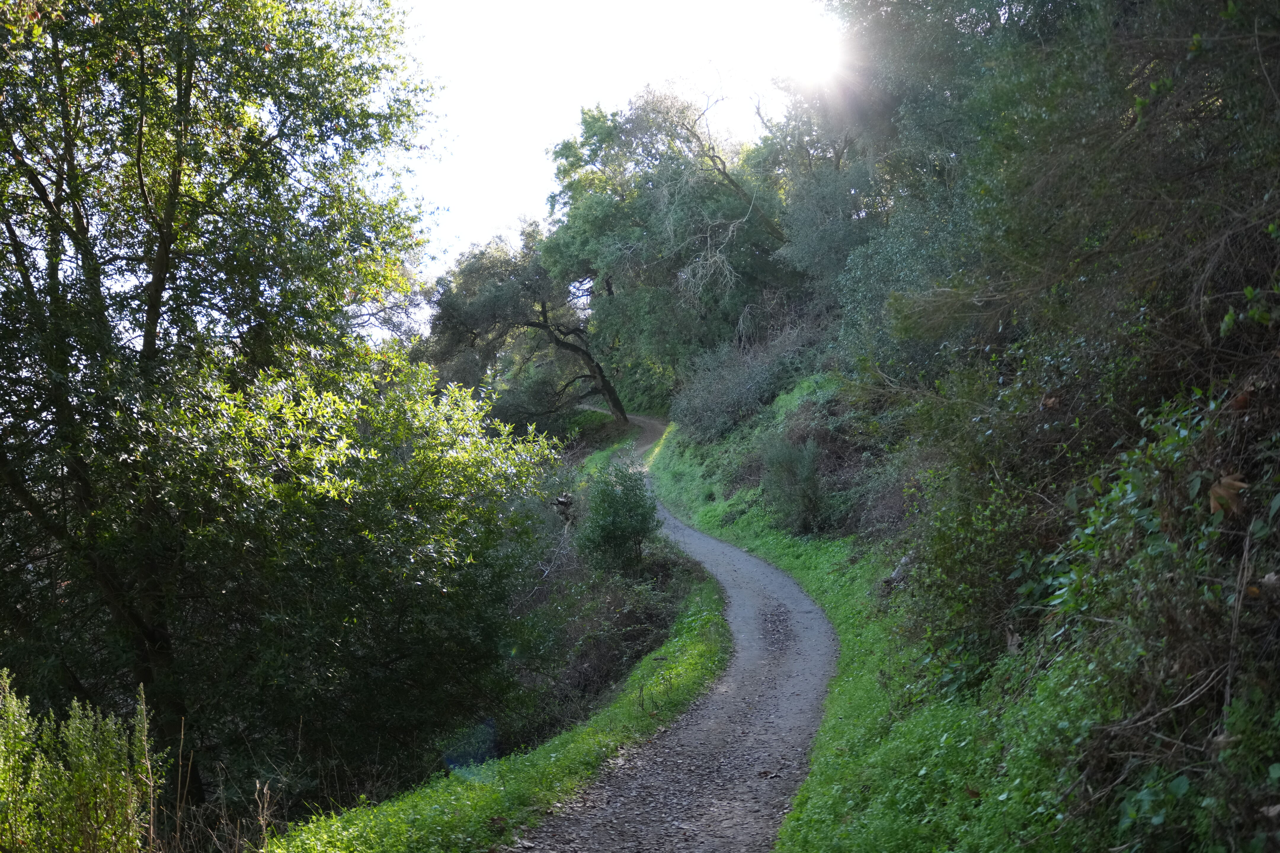 Pleasanton Ridge Regional Park