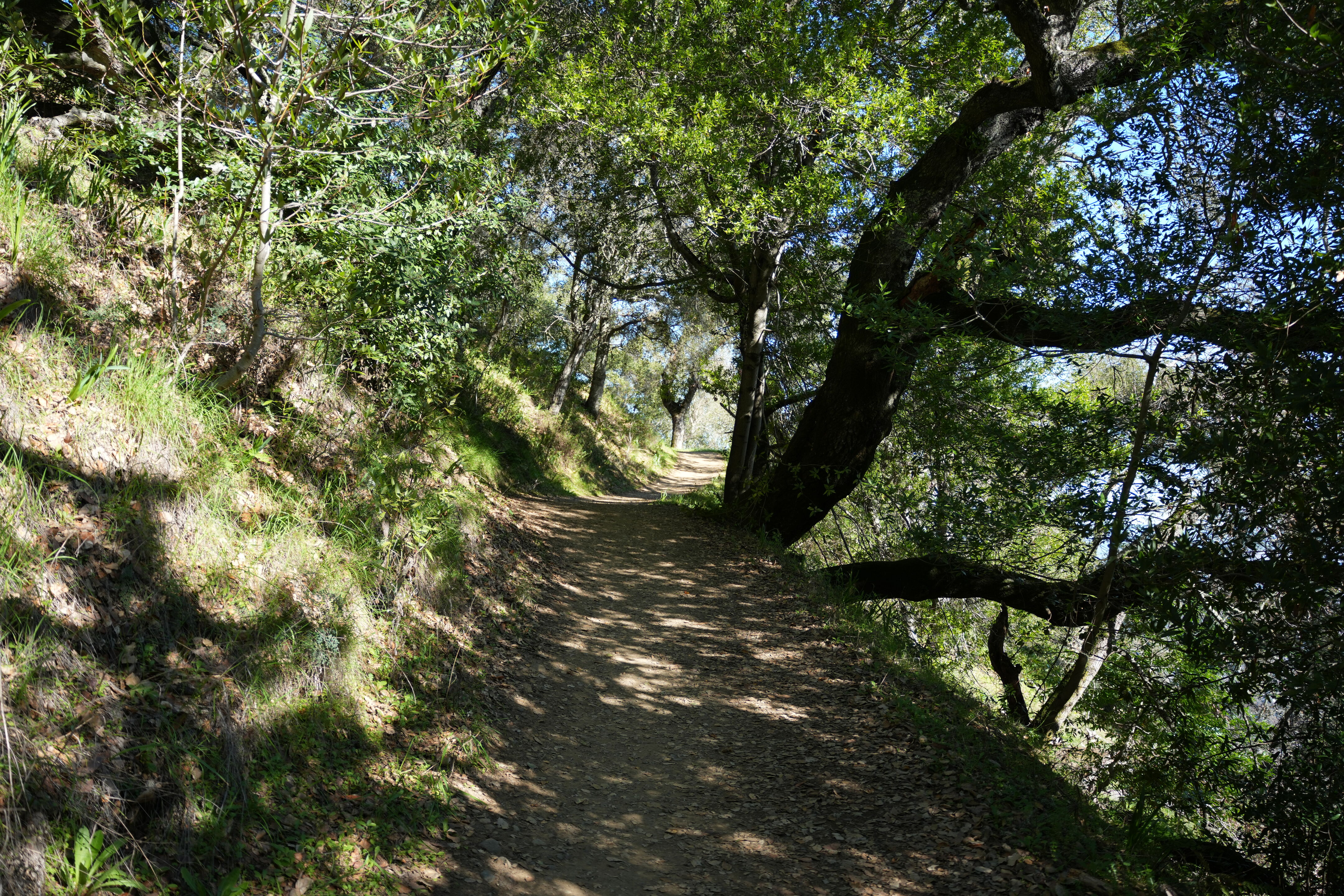 Pleasanton Ridge Regional Park