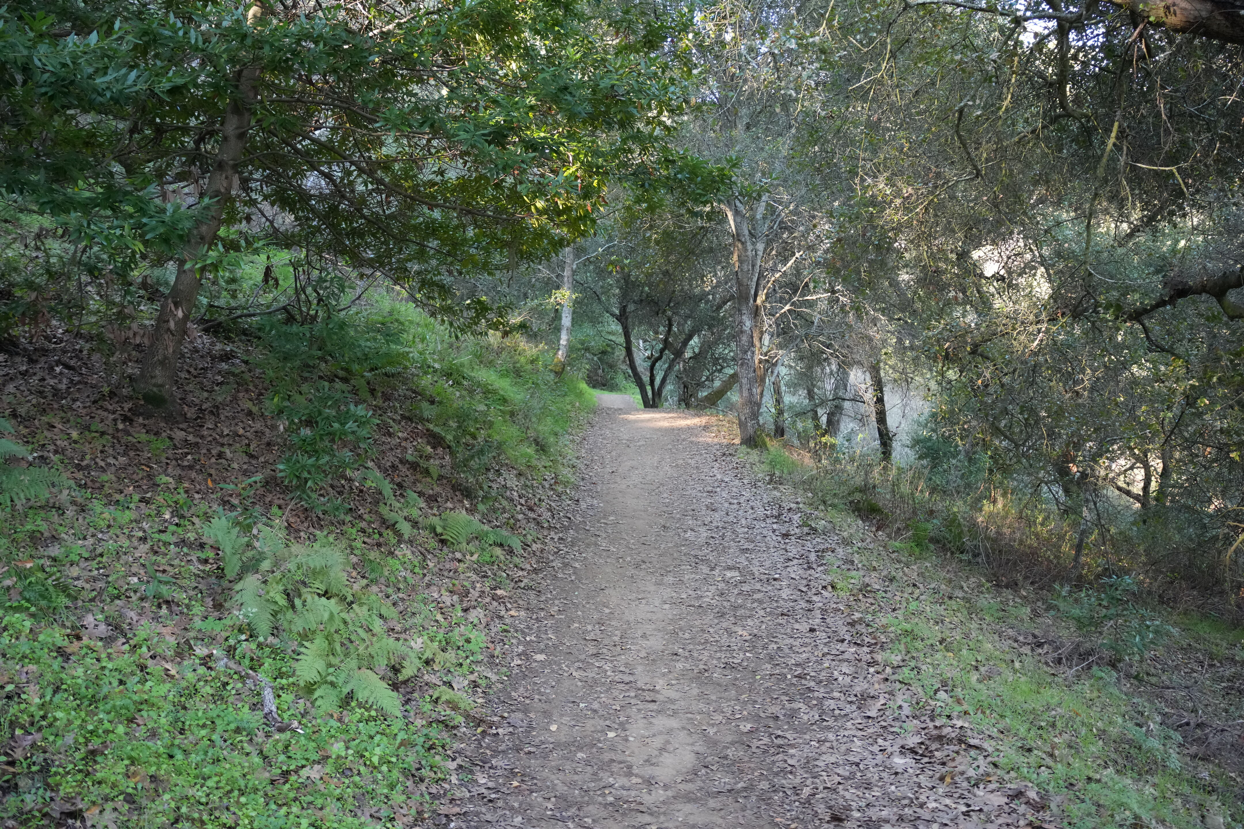 Pleasanton Ridge Regional Park