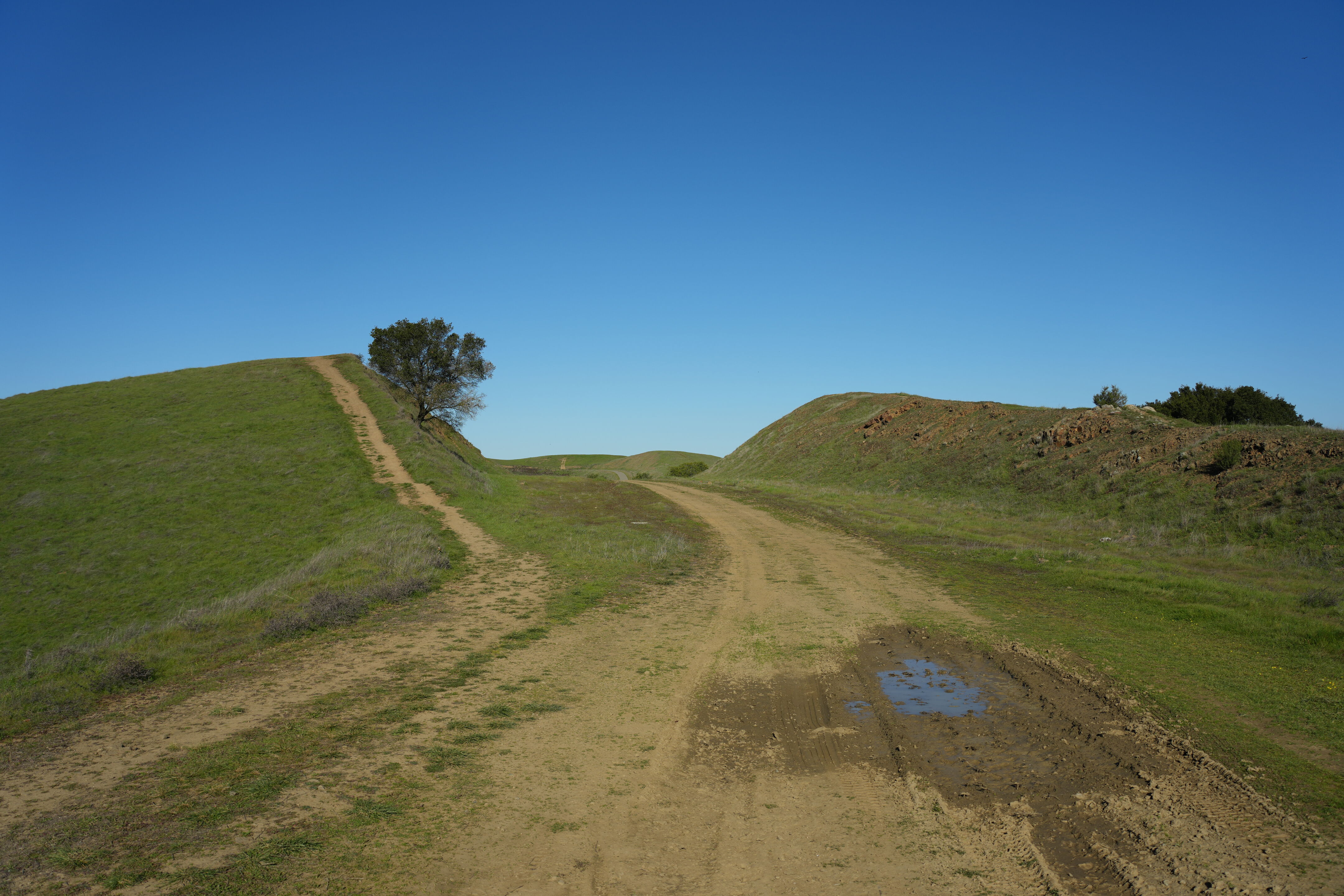 Pleasanton Ridge Regional Park