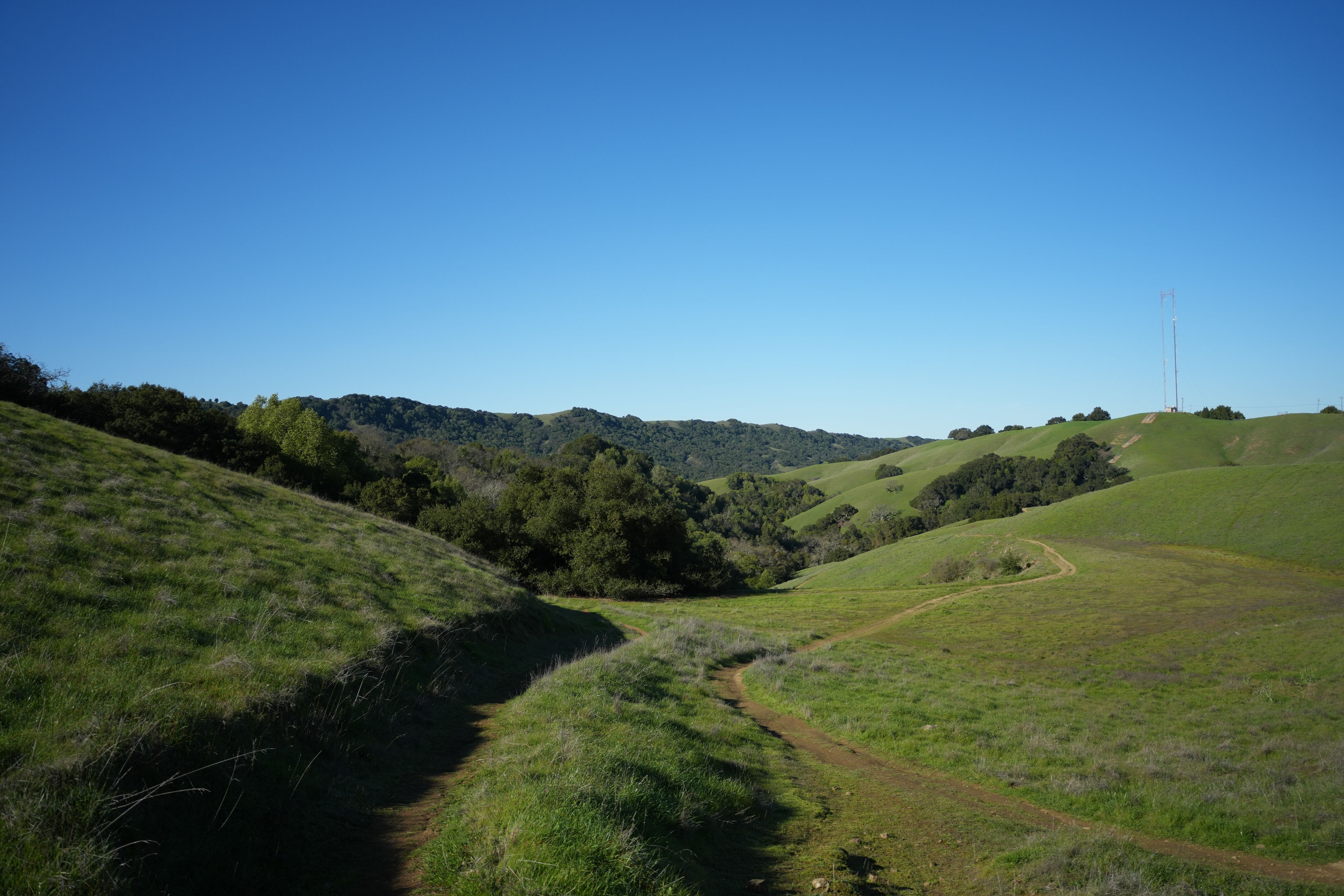 Pleasanton Ridge Regional Park