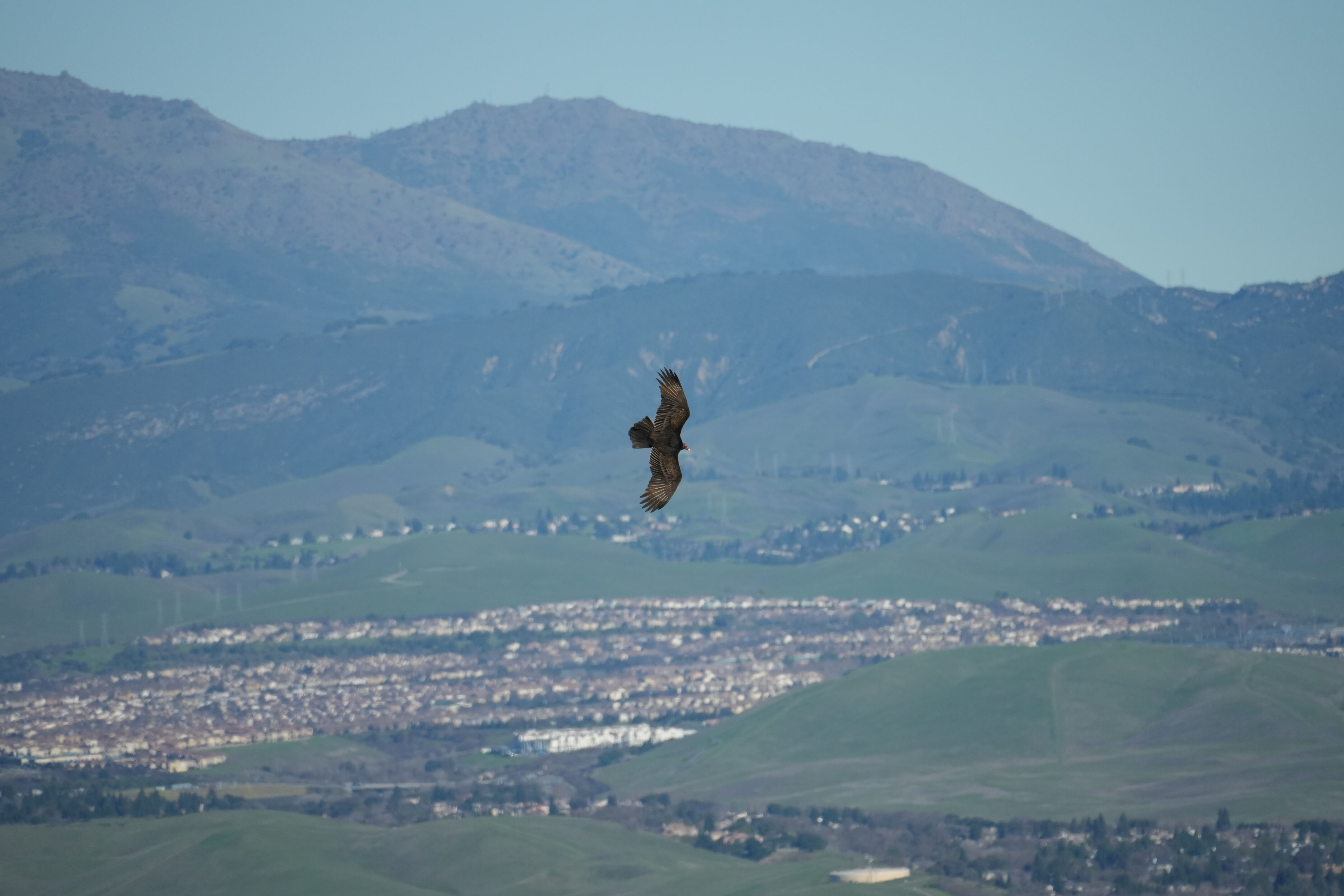 Pleasanton Ridge Regional Park