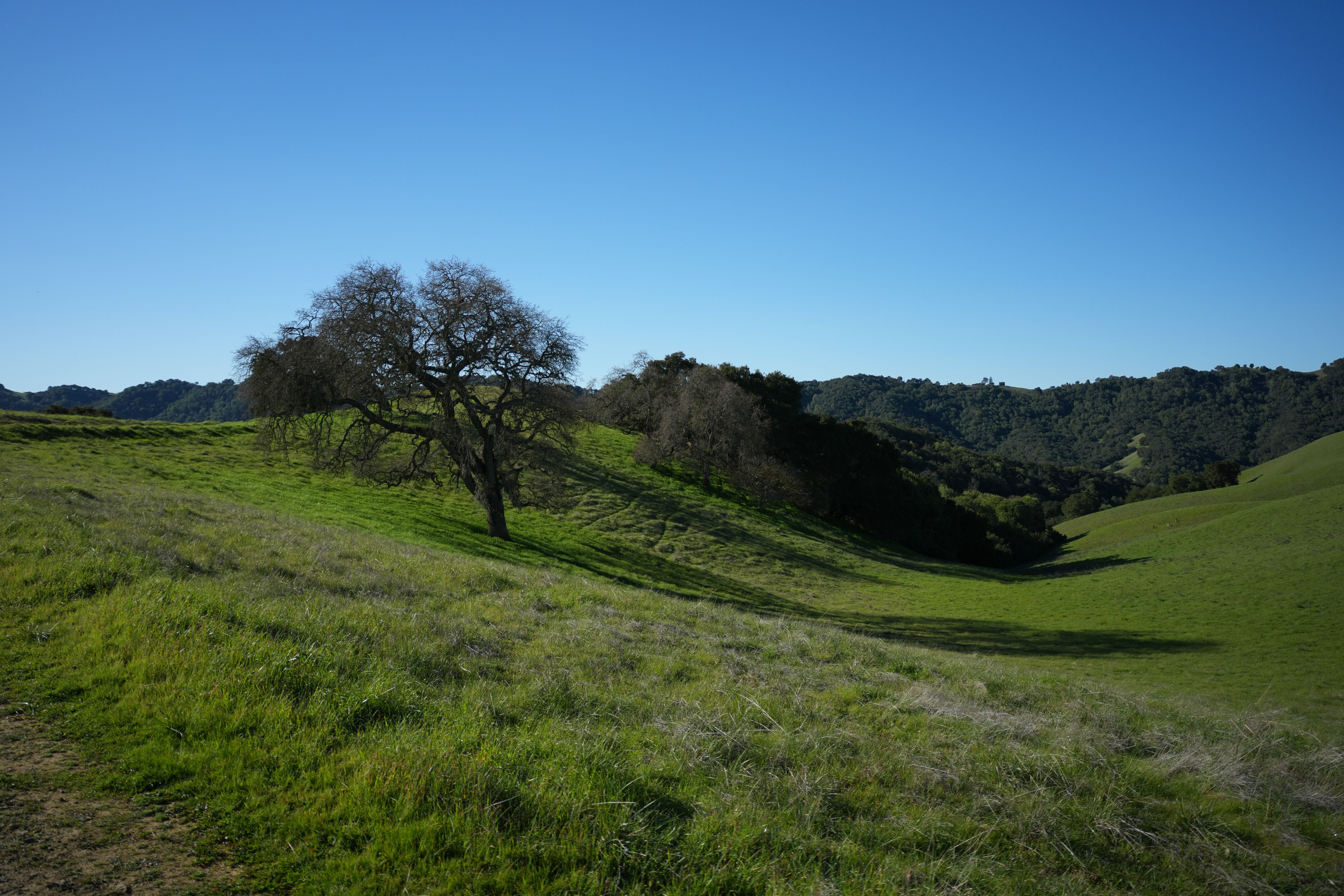 Pleasanton Ridge Regional Park