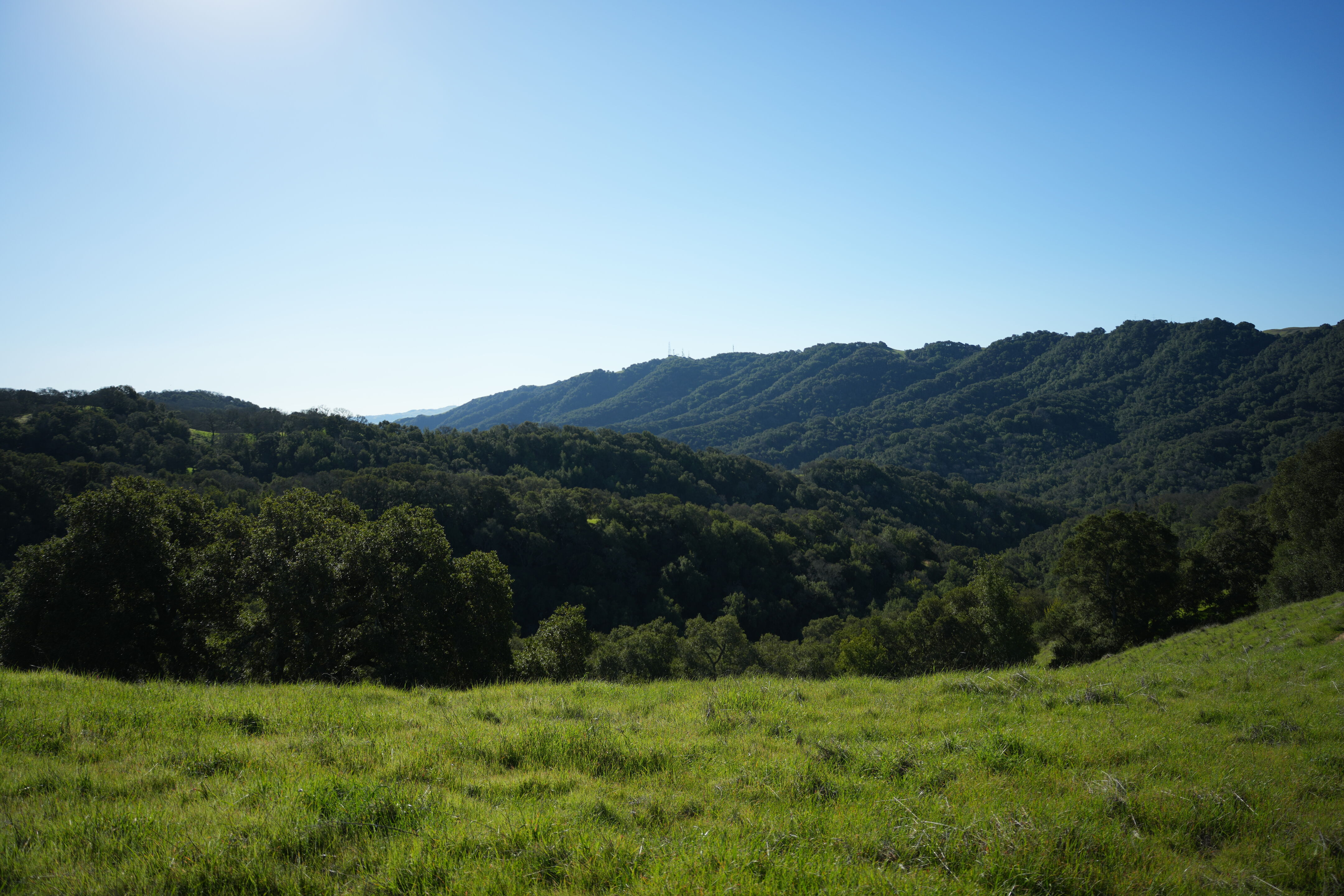 Pleasanton Ridge Regional Park