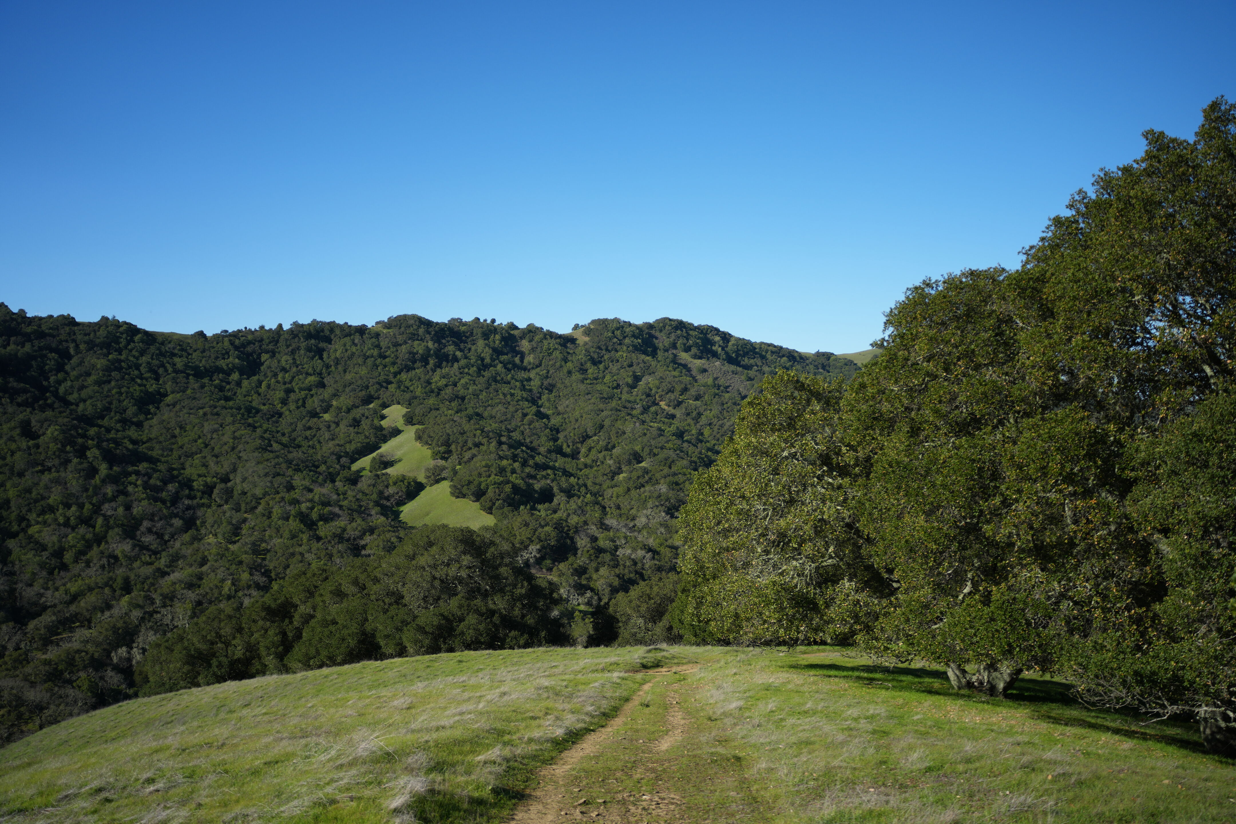 Pleasanton Ridge Regional Park