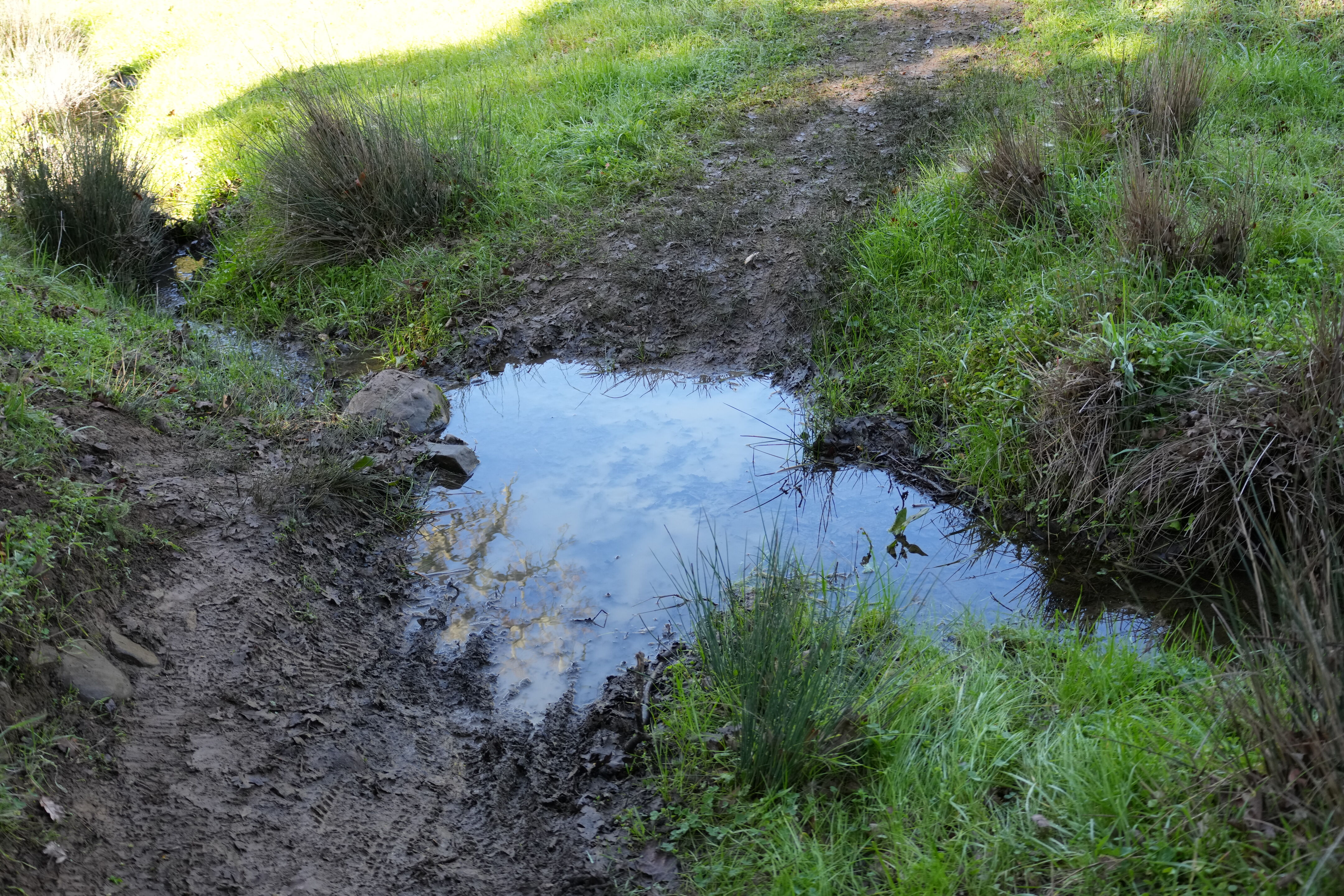 Pleasanton Ridge Regional Park