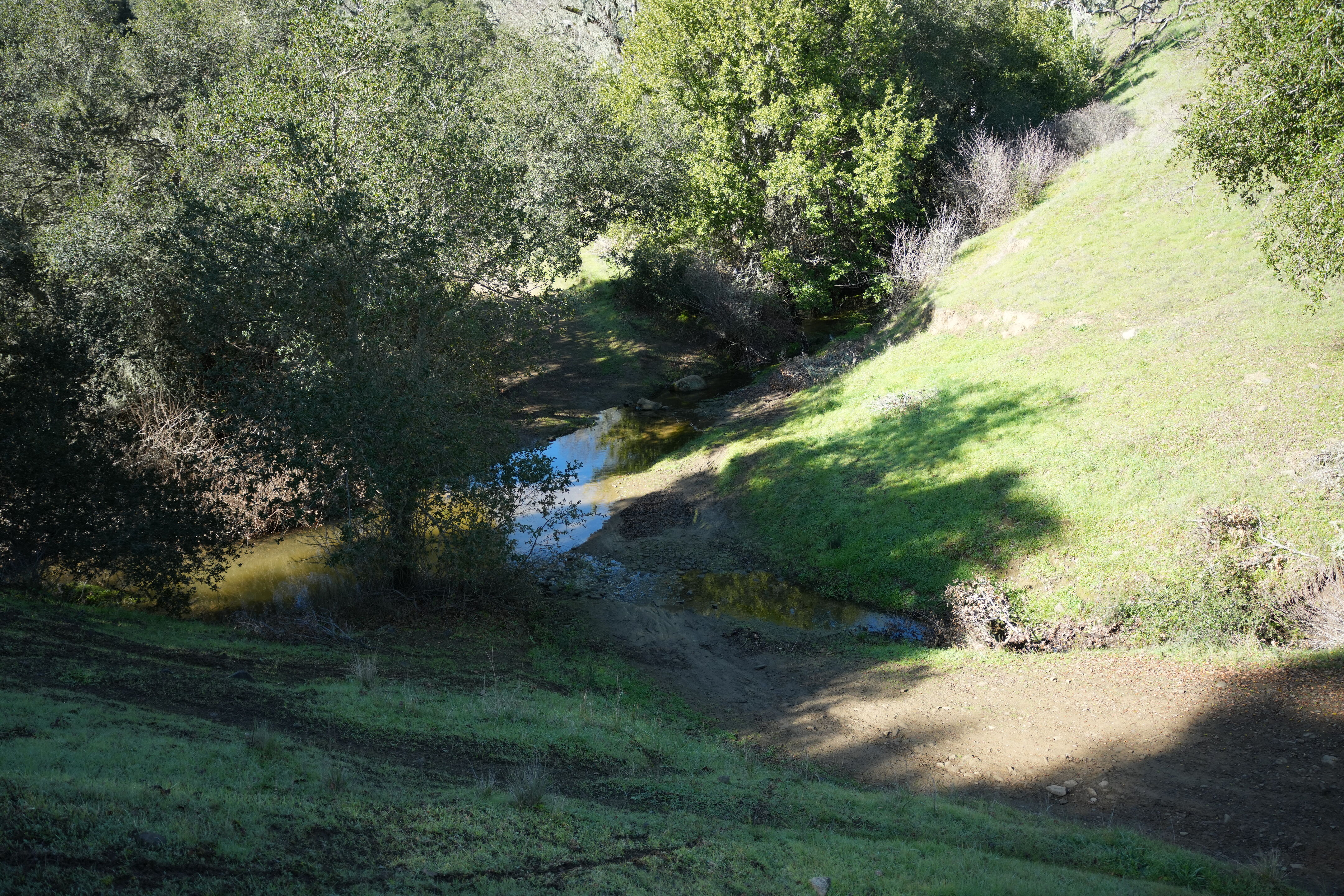 Pleasanton Ridge Regional Park