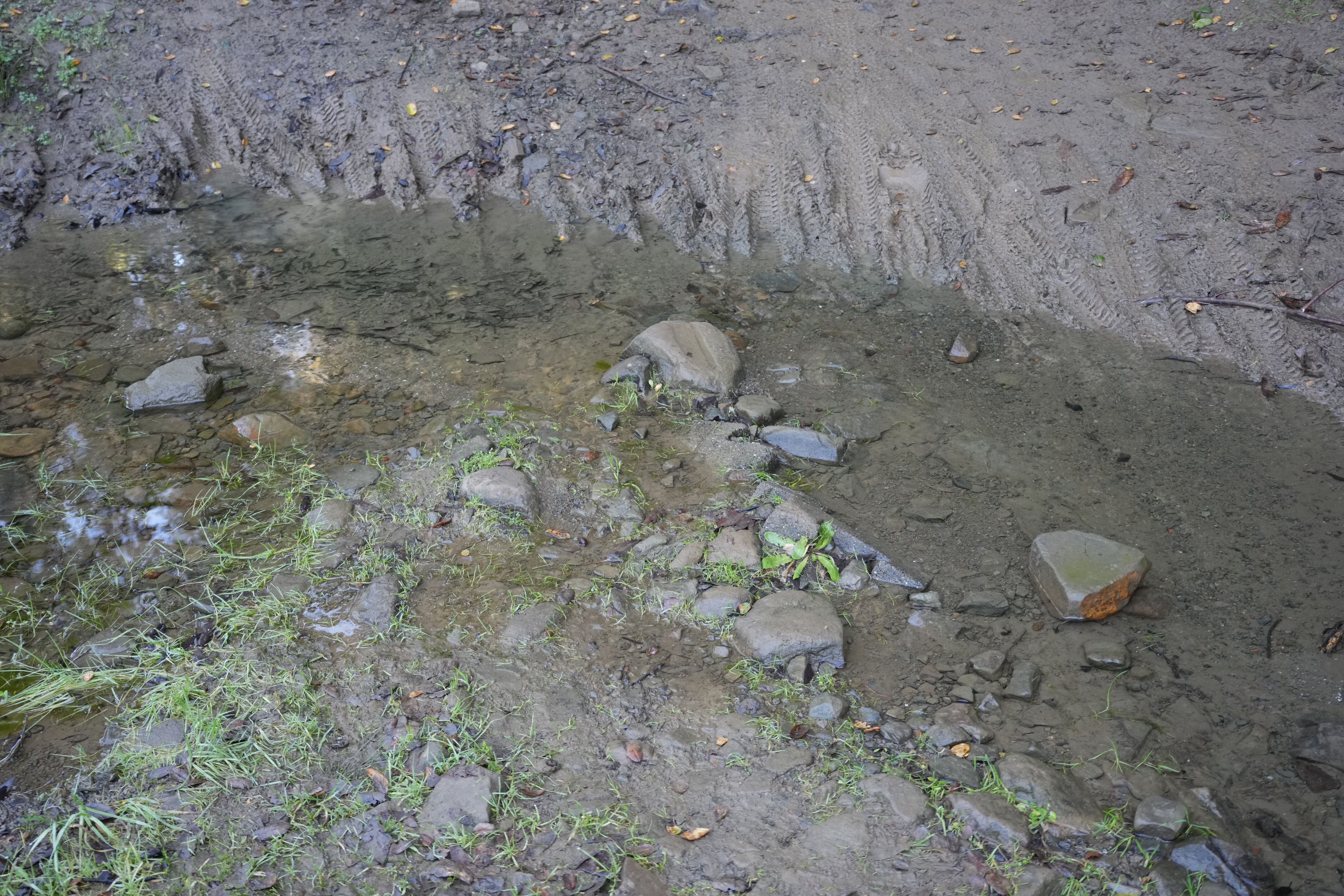 Pleasanton Ridge Regional Park