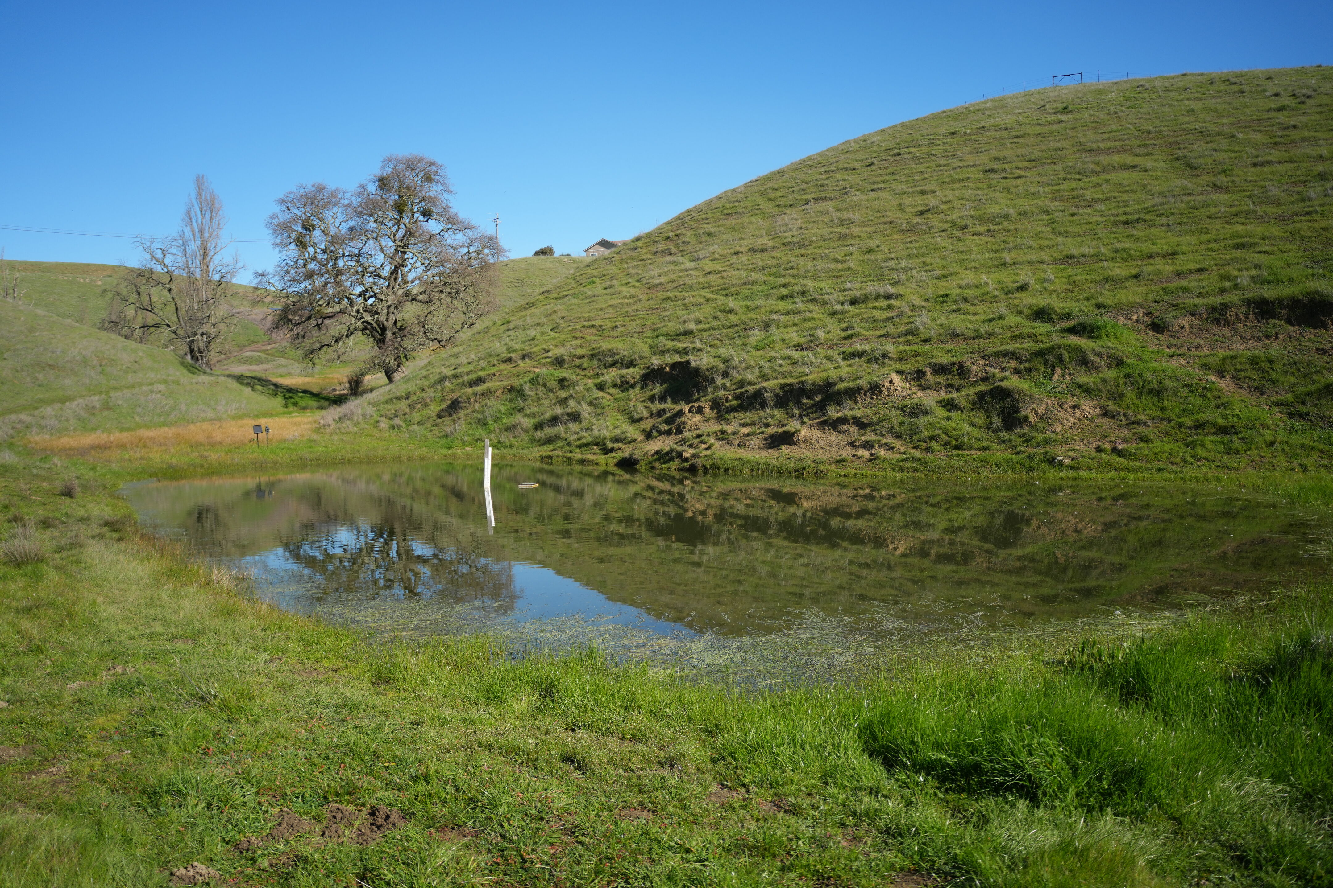 Pleasanton Ridge Regional Park