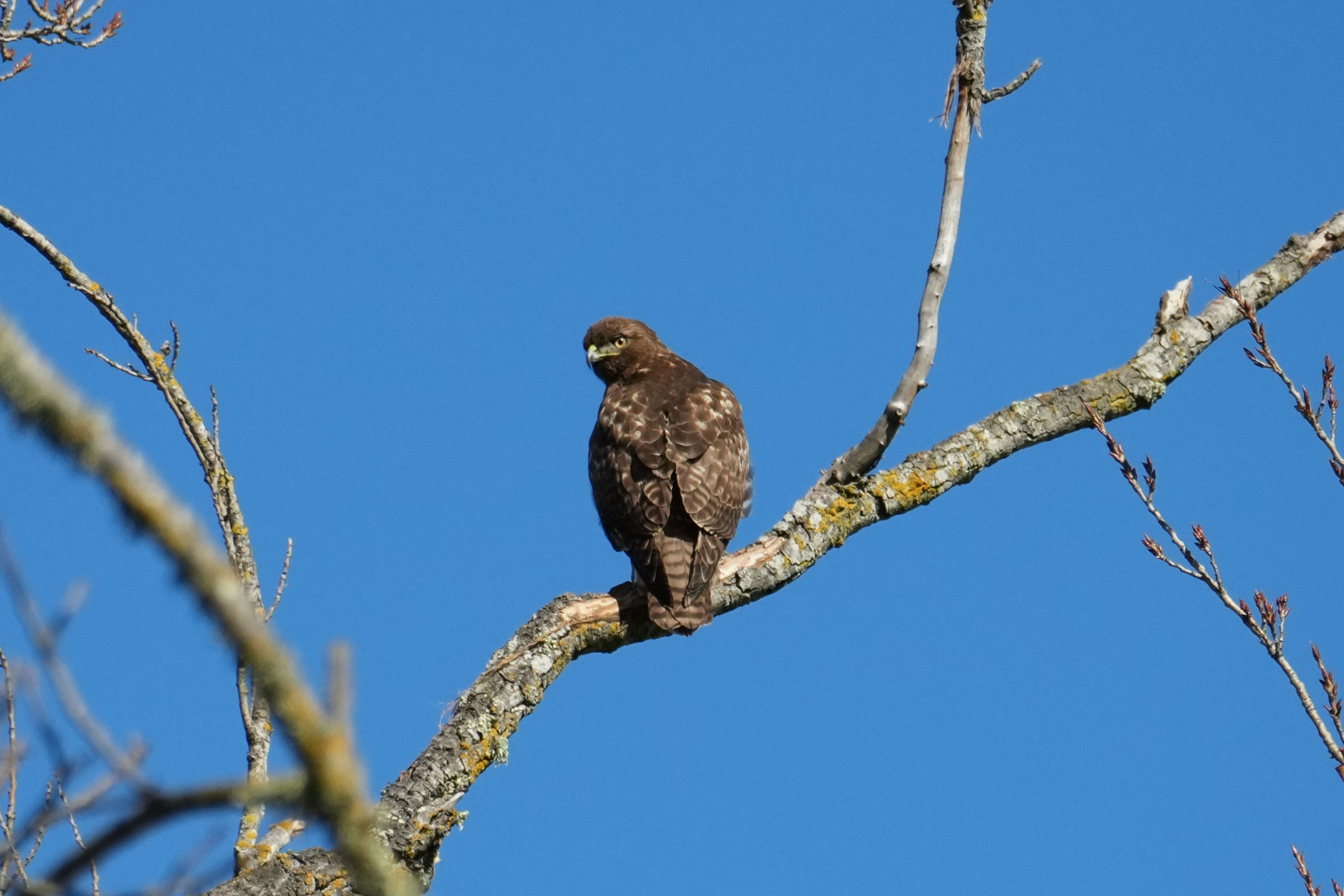 Pleasanton Ridge Regional Park