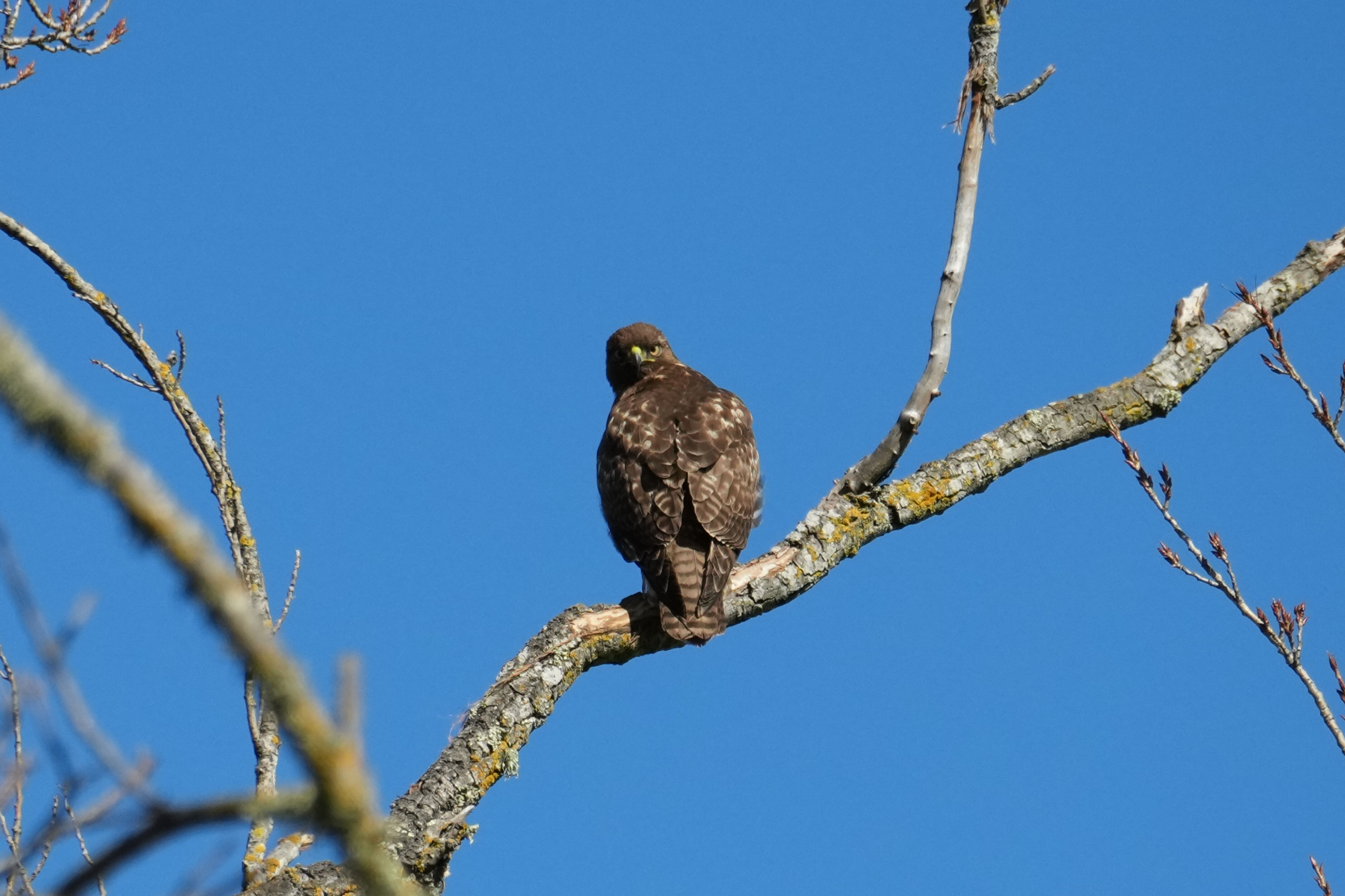 Pleasanton Ridge Regional Park