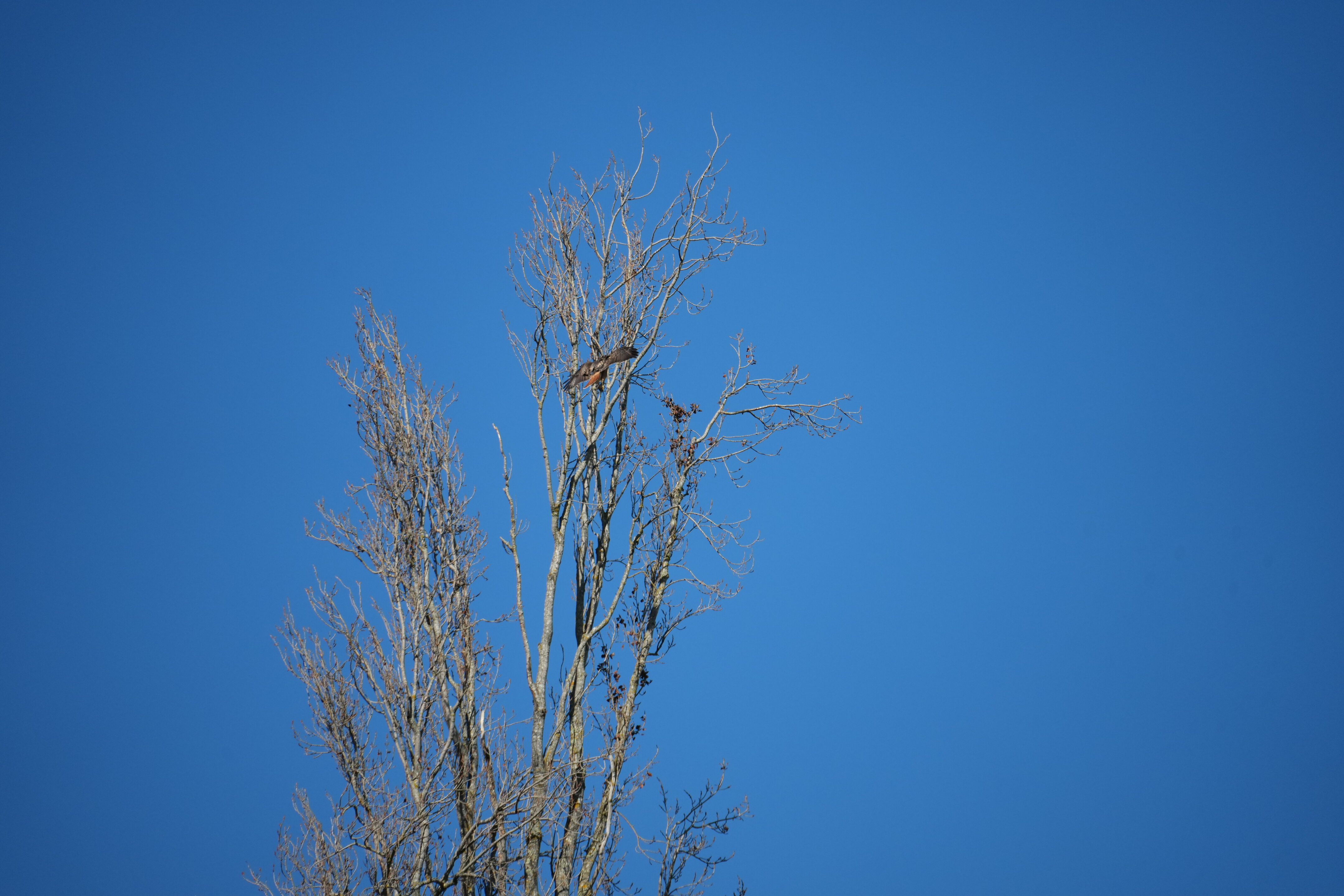 Pleasanton Ridge Regional Park