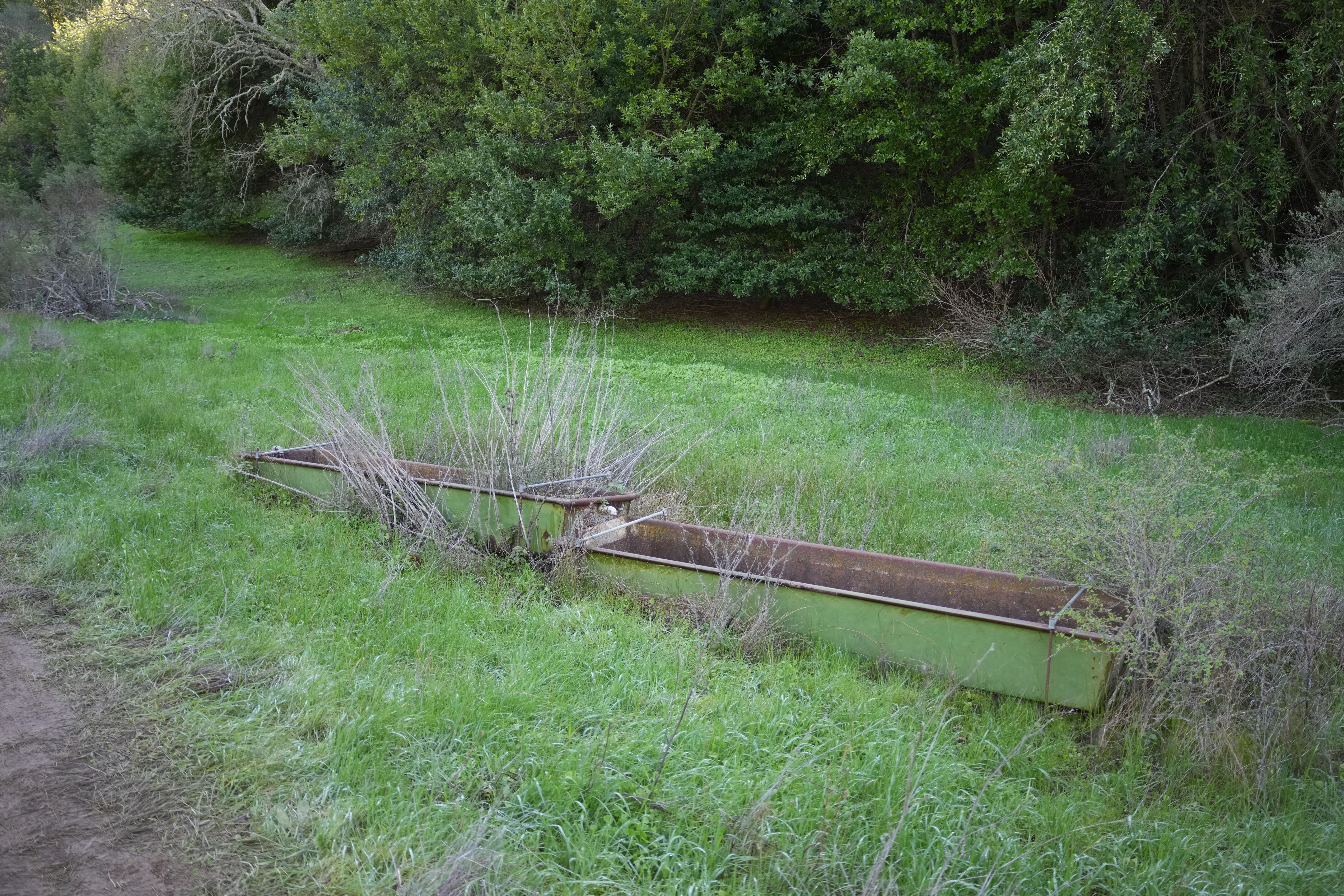 Pleasanton Ridge Regional Park