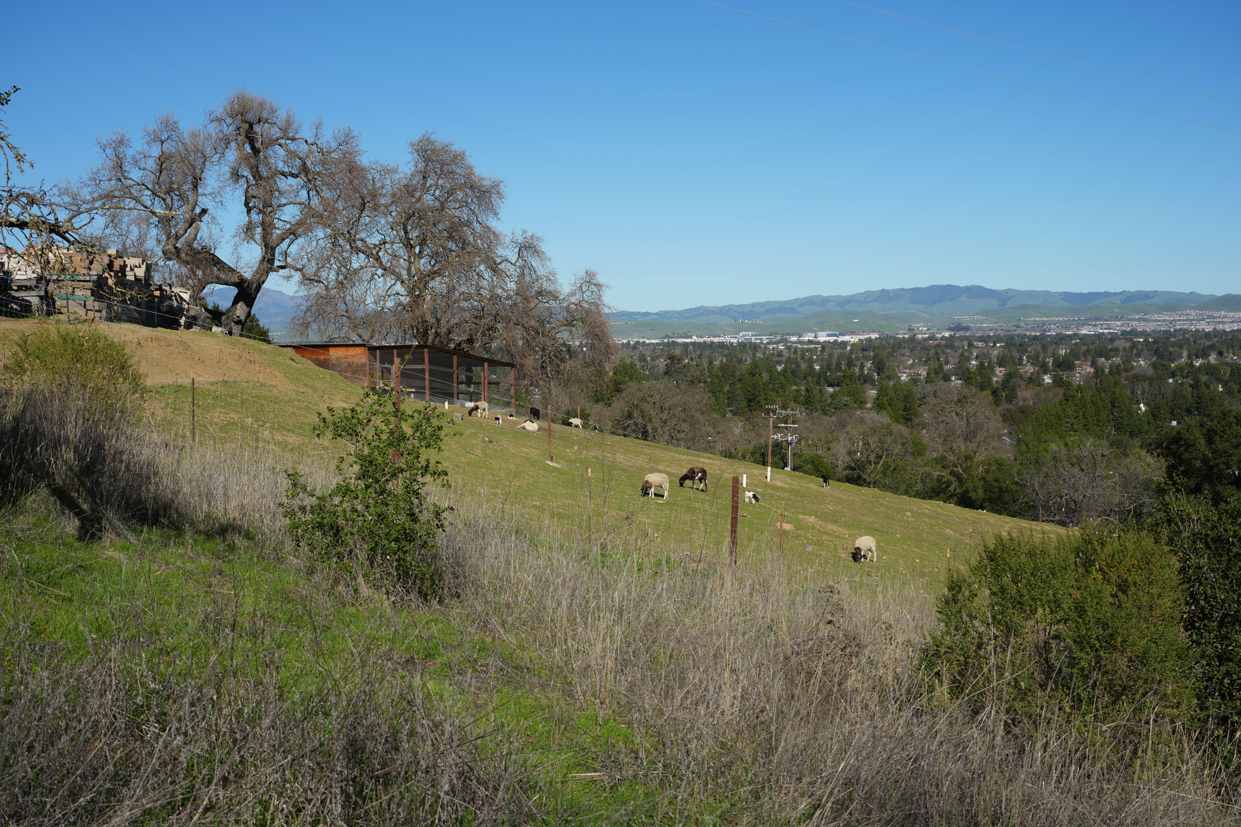 Pleasanton Ridge Regional Park