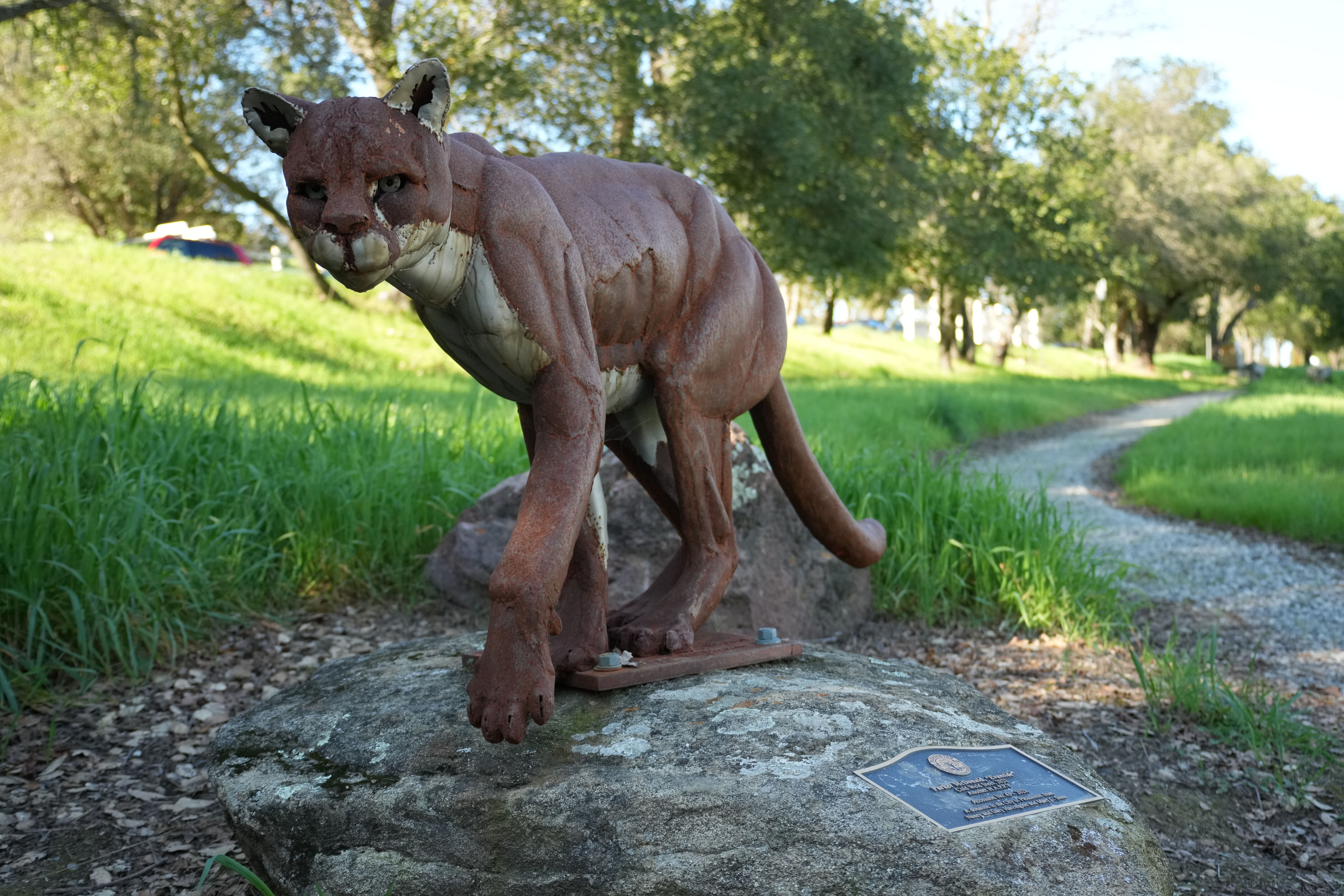 Pleasanton Ridge Regional Park