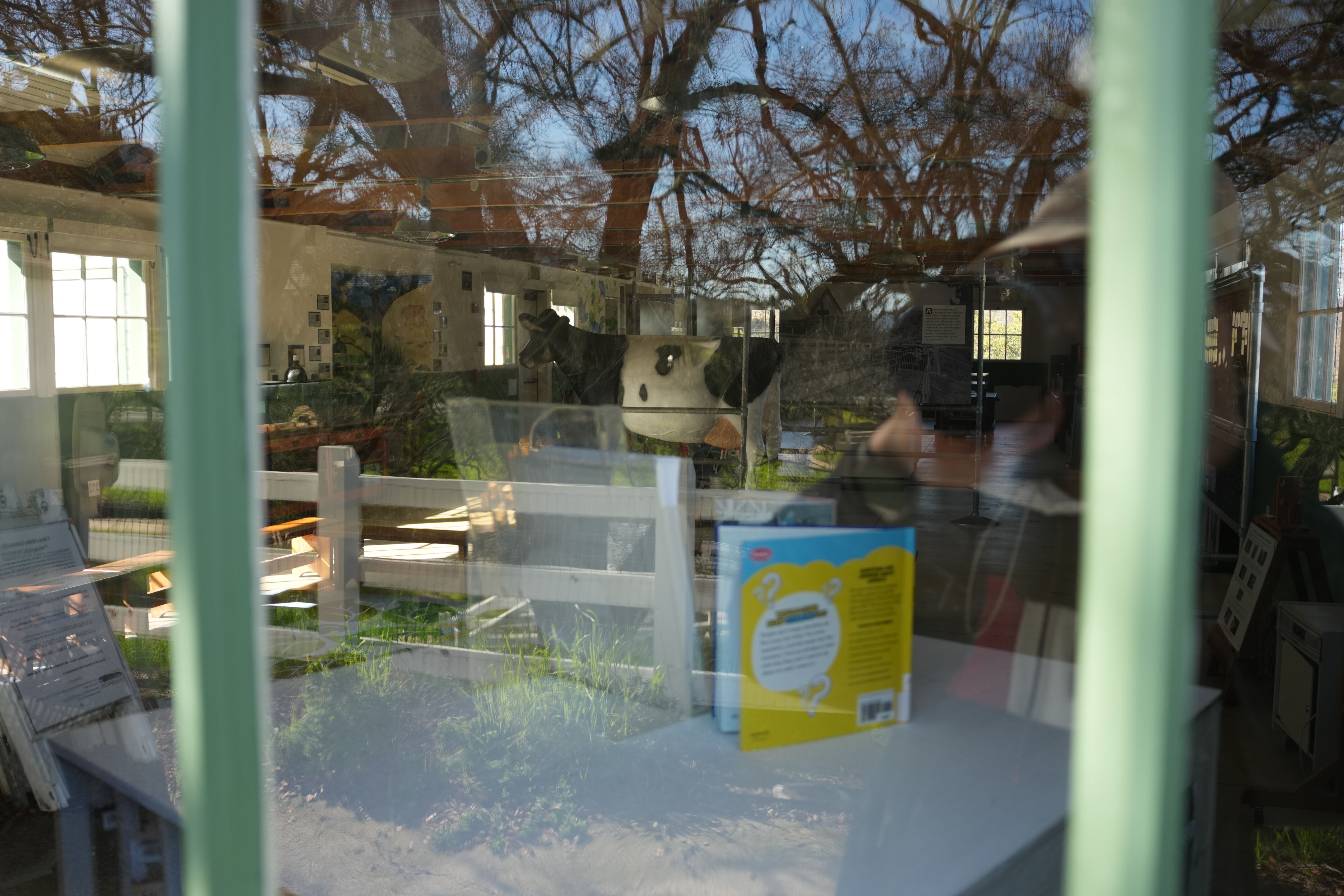 Pleasanton Ridge Regional Park