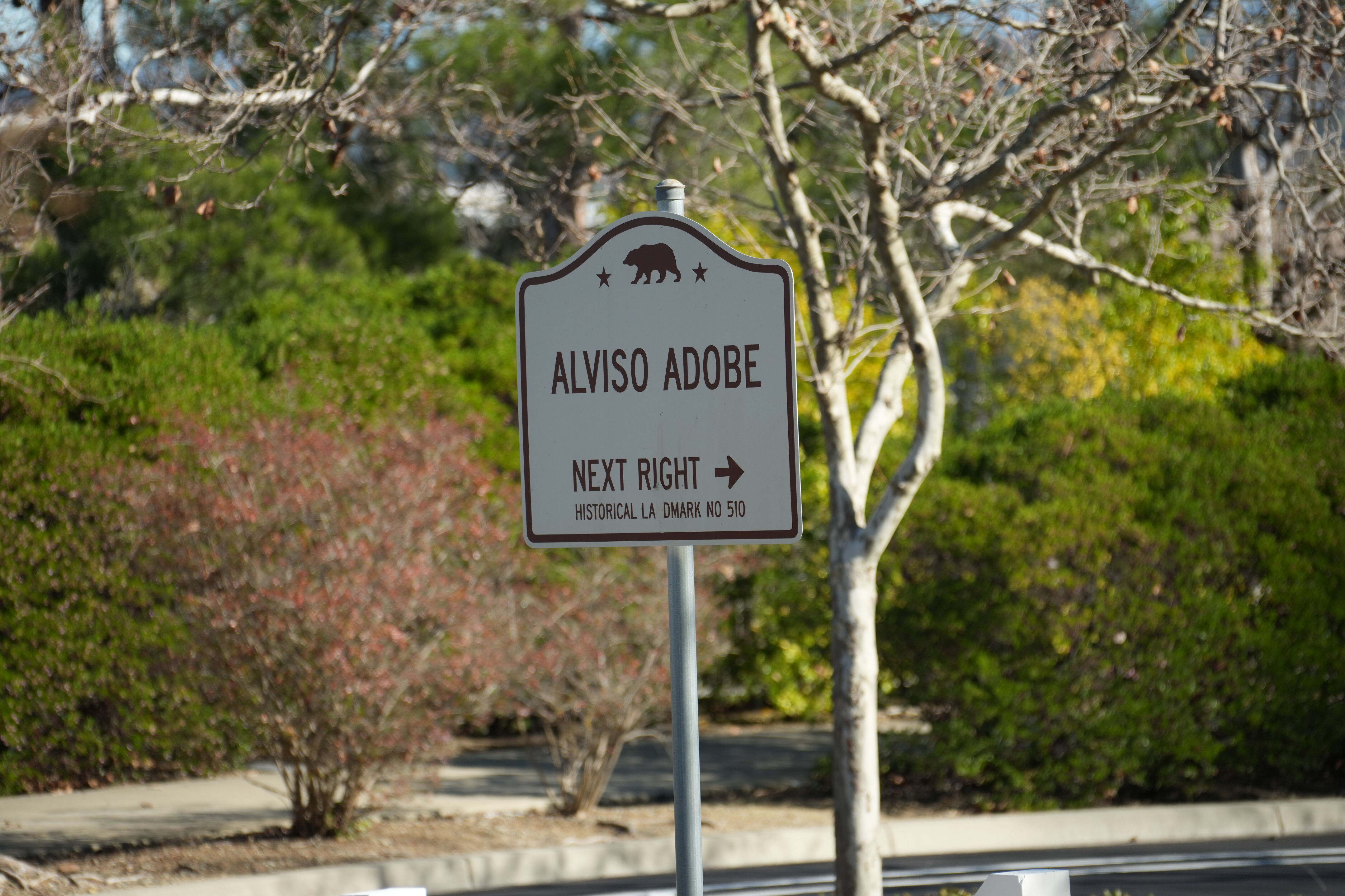 Pleasanton Ridge Regional Park