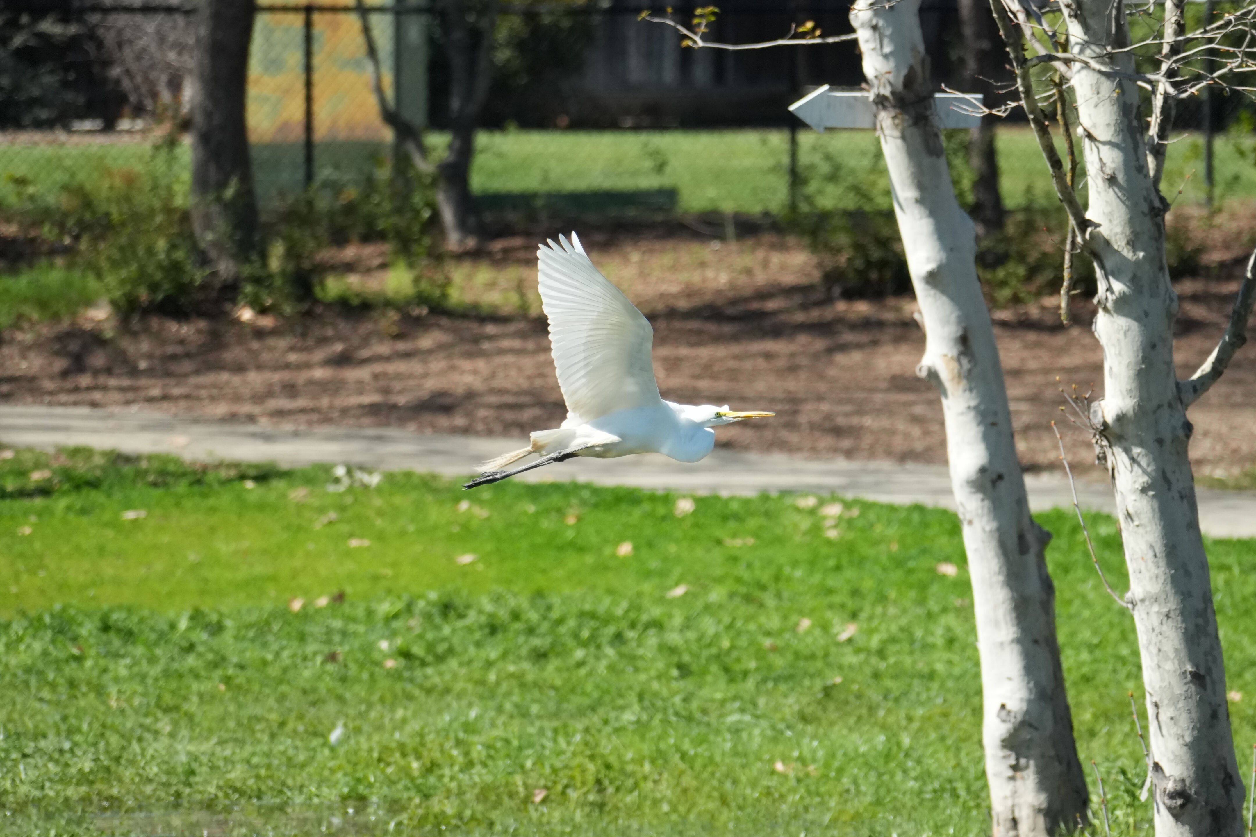 Marsh Creek Regional Trail