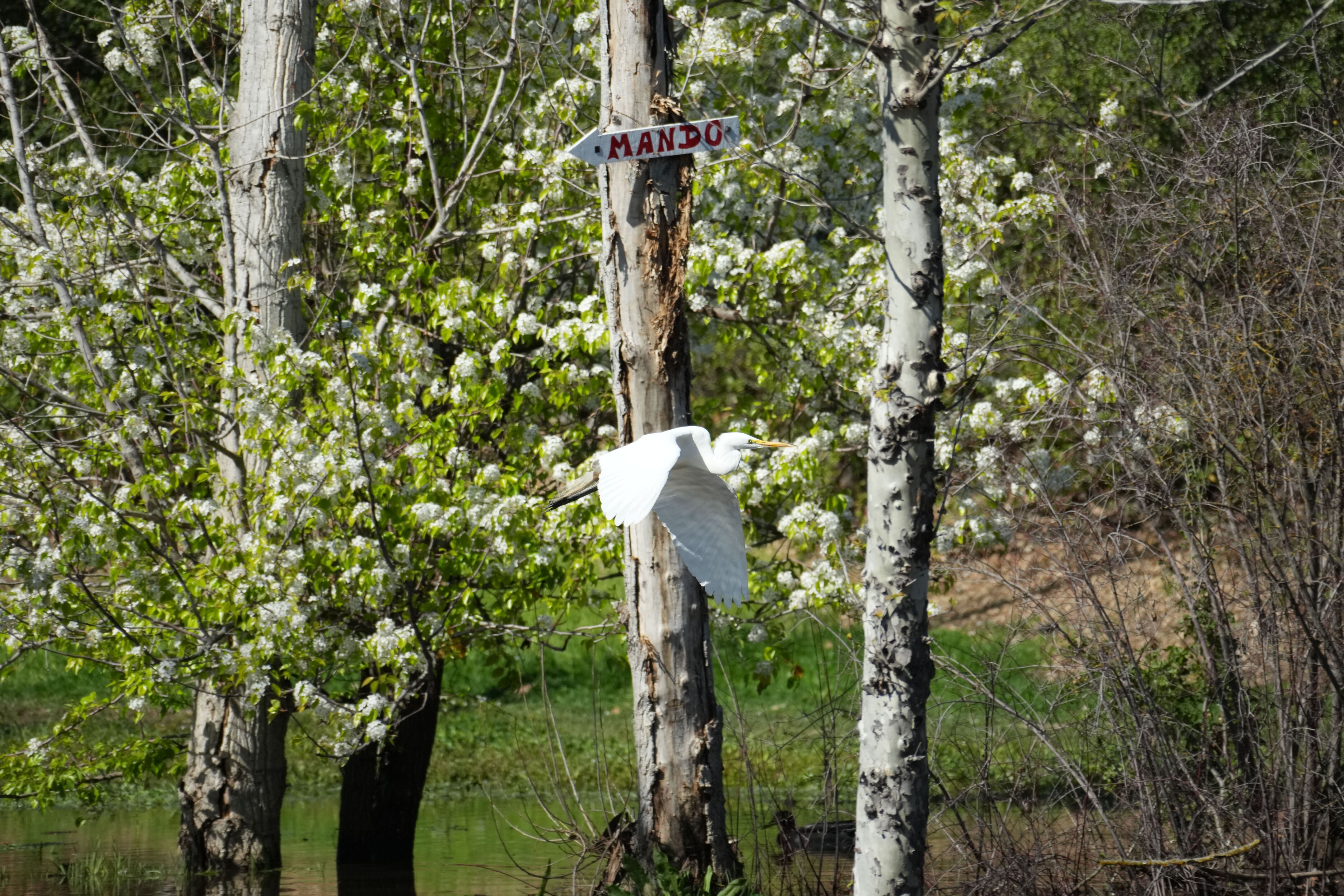 Marsh Creek Regional Trail