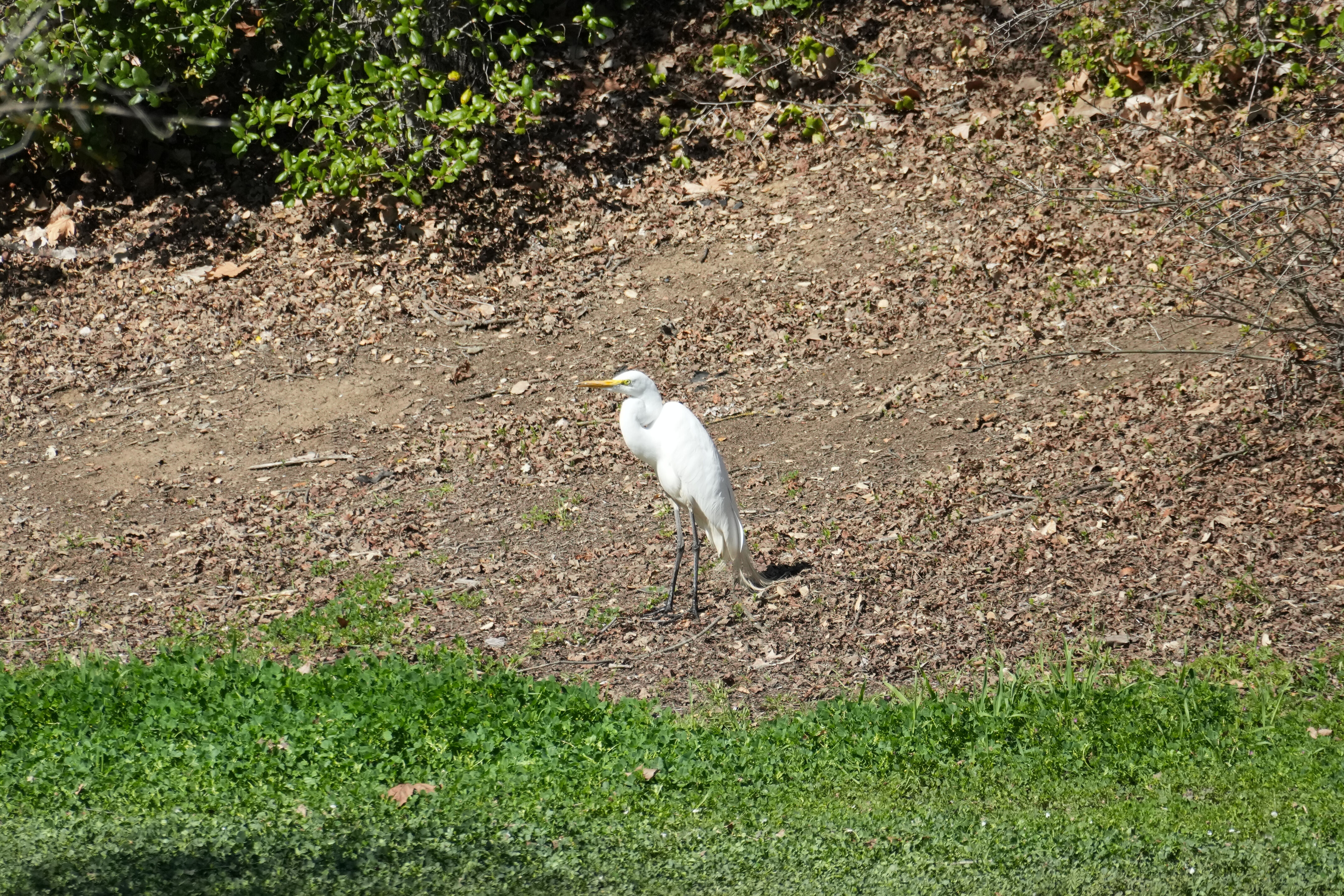 Marsh Creek Regional Trail