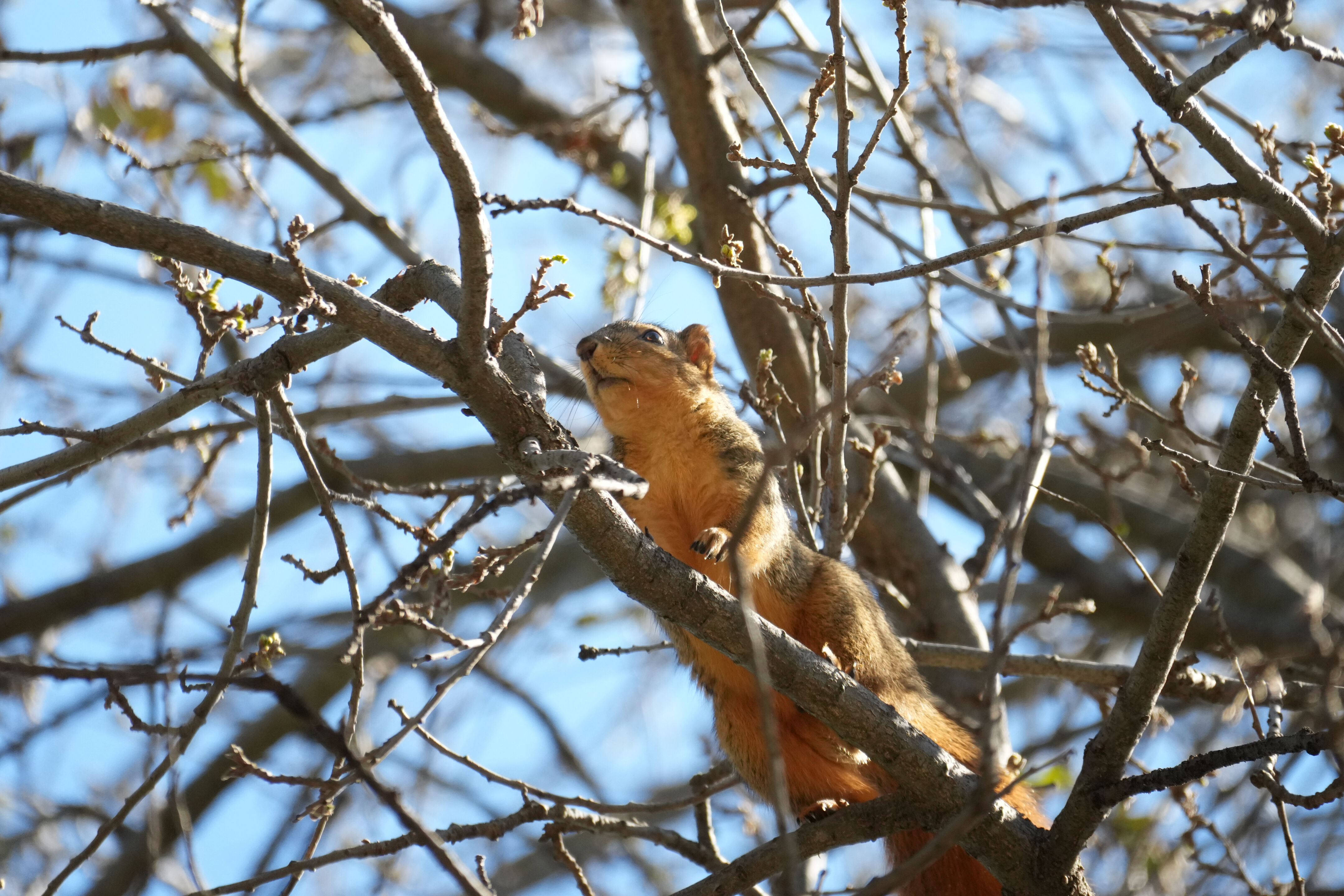 Marsh Creek Regional Trail