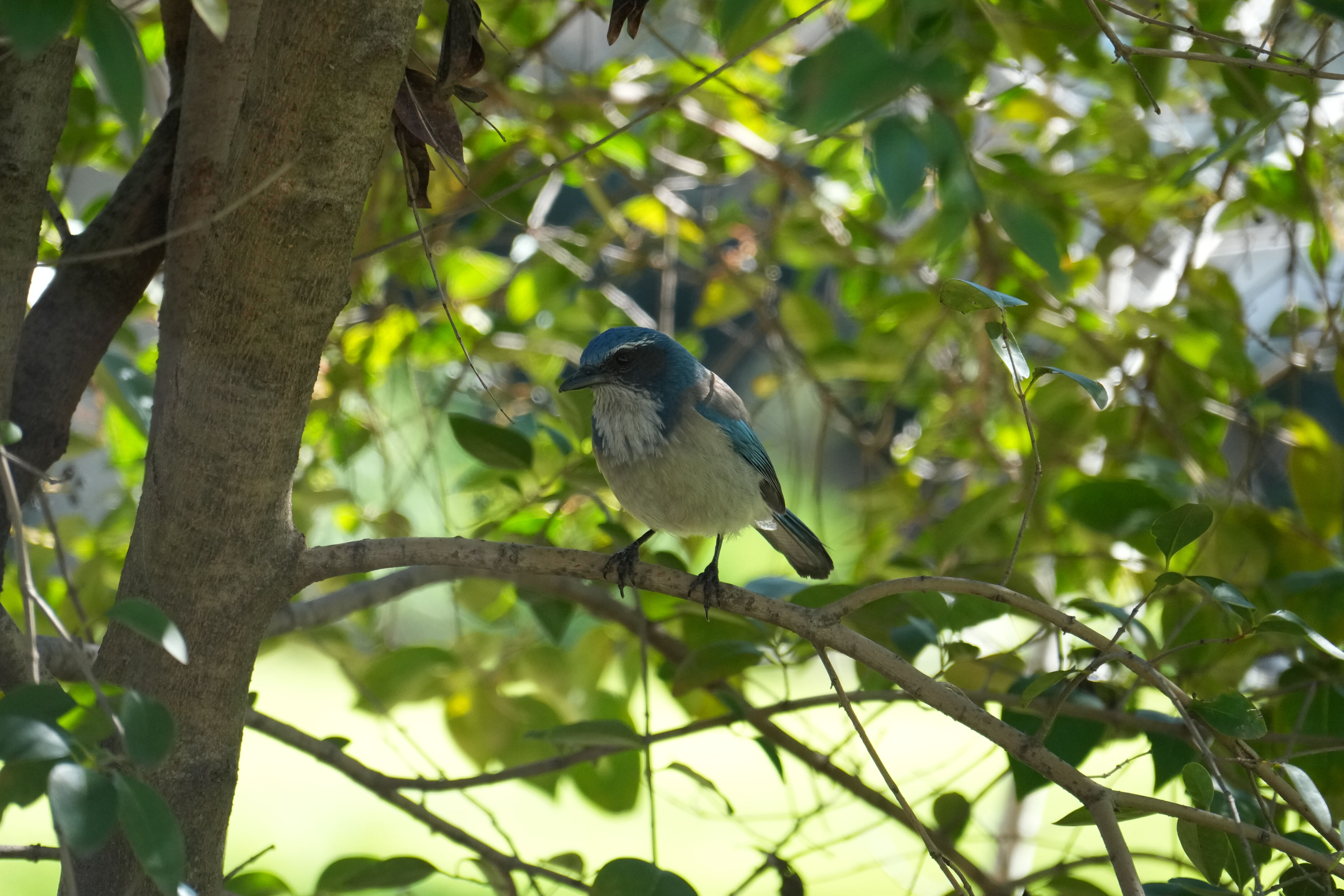 Marsh Creek Regional Trail