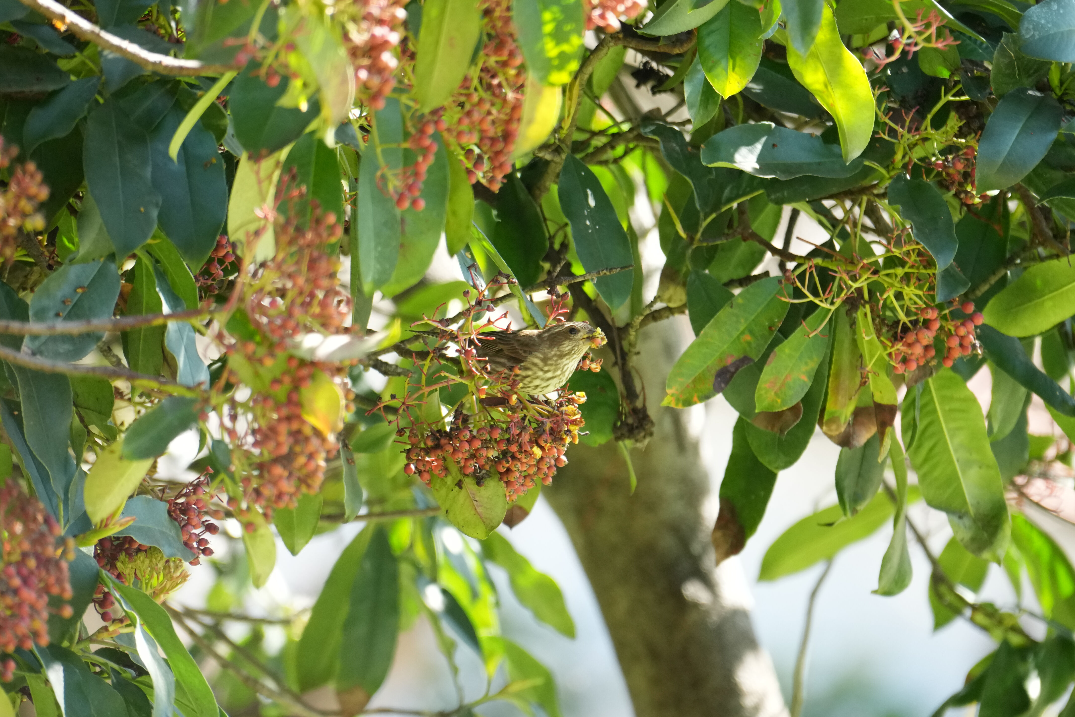 Marsh Creek Regional Trail