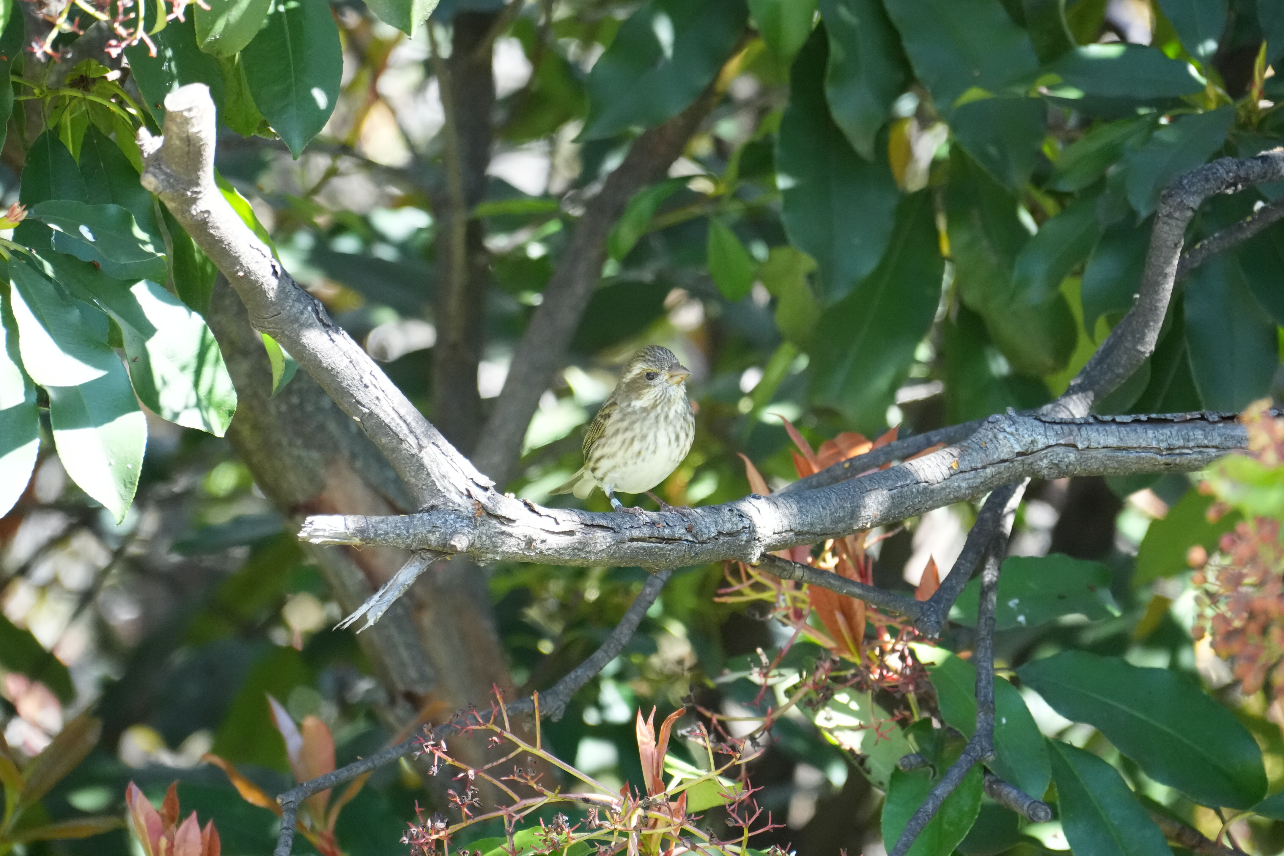 Marsh Creek Regional Trail