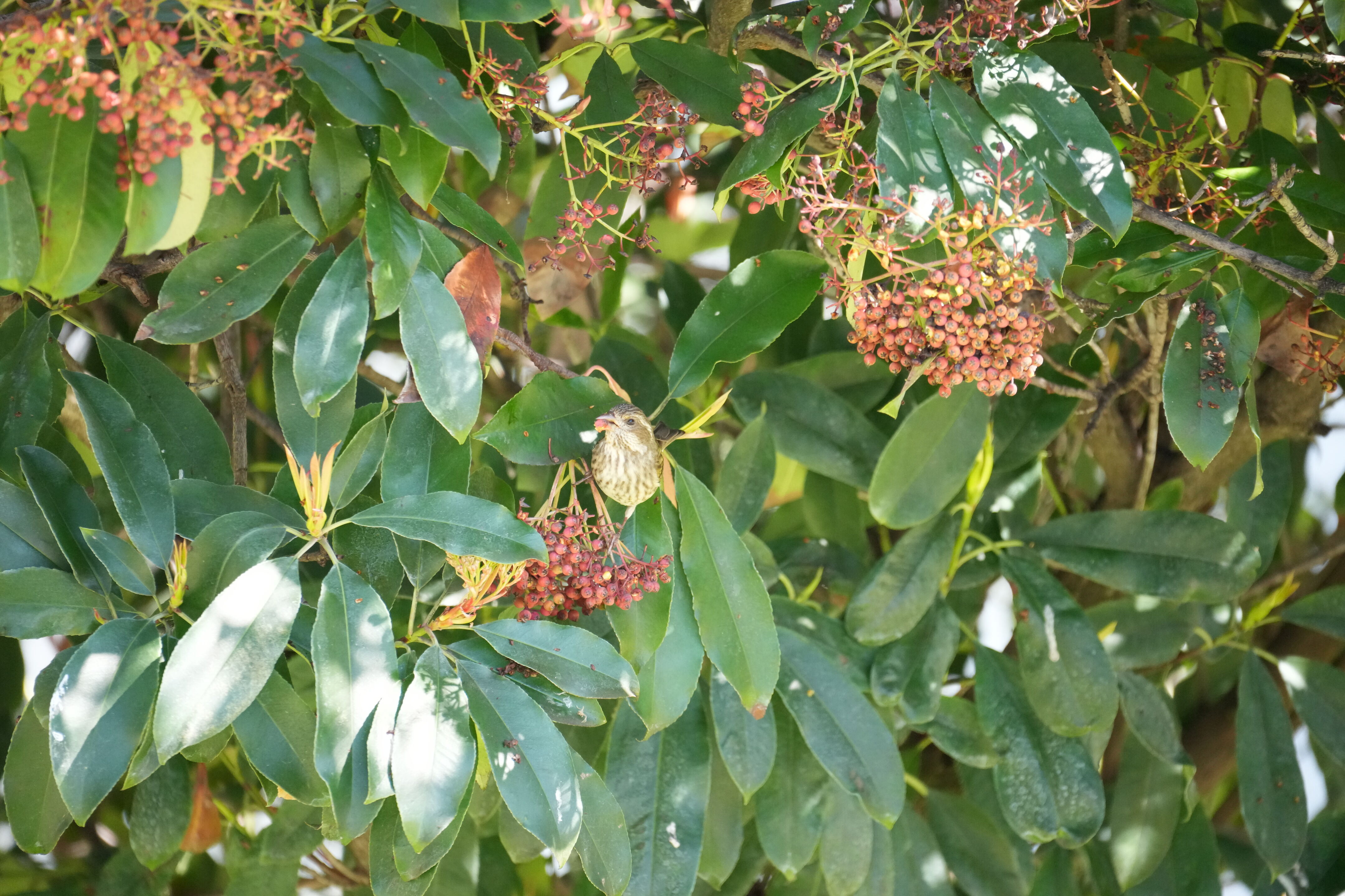 Marsh Creek Regional Trail