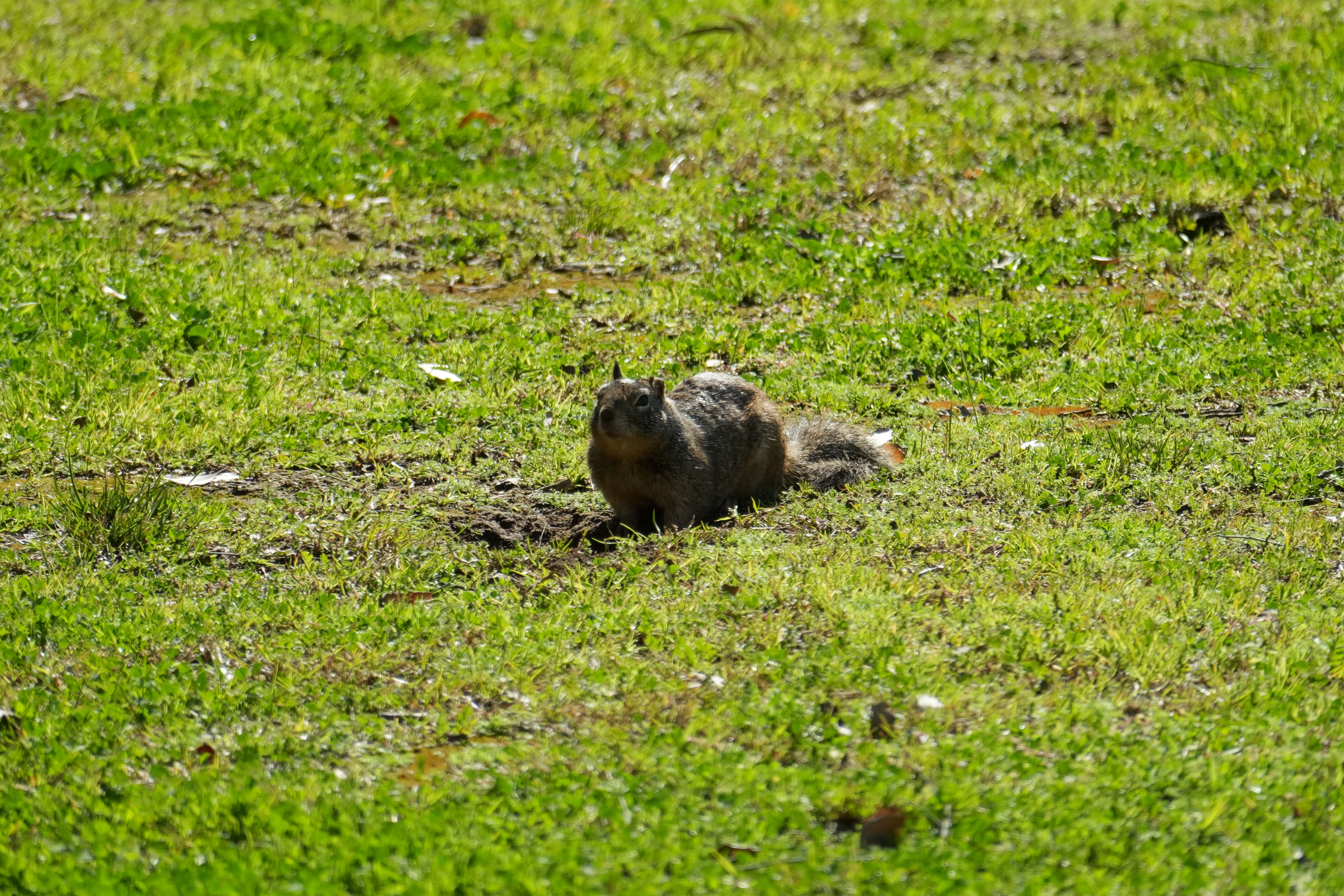Marsh Creek Regional Trail
