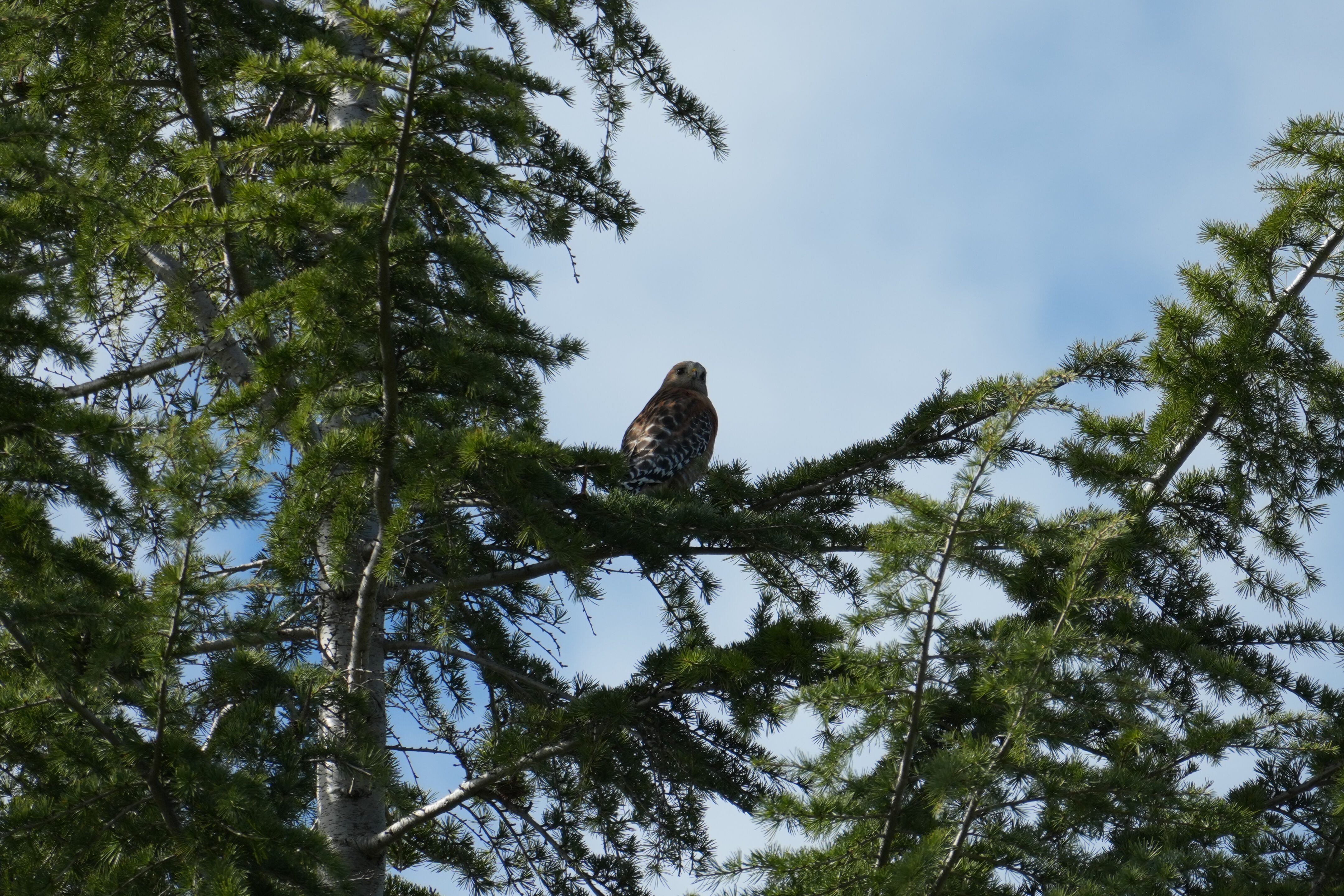 Marsh Creek Regional Trail