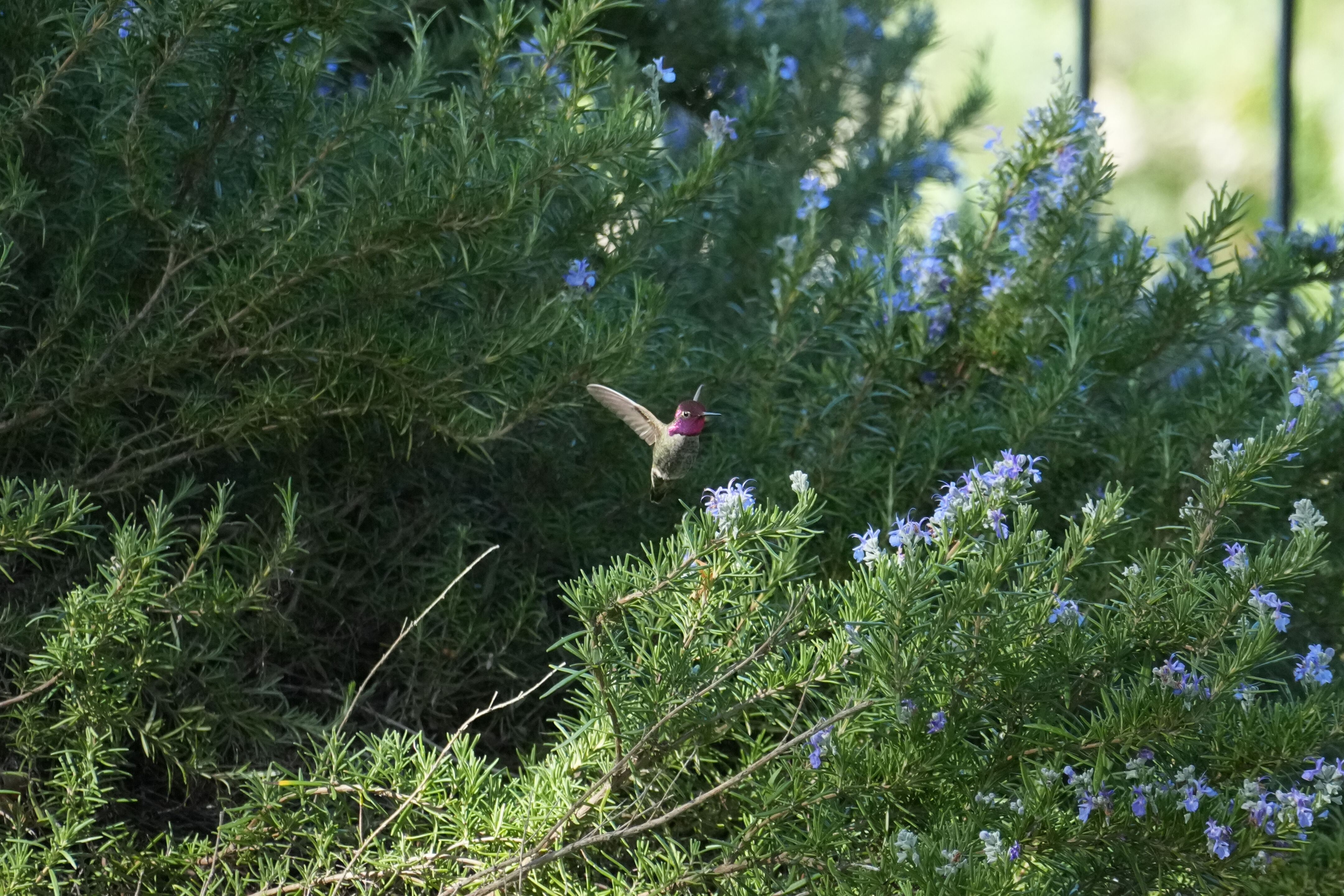 Marsh Creek Regional Trail
