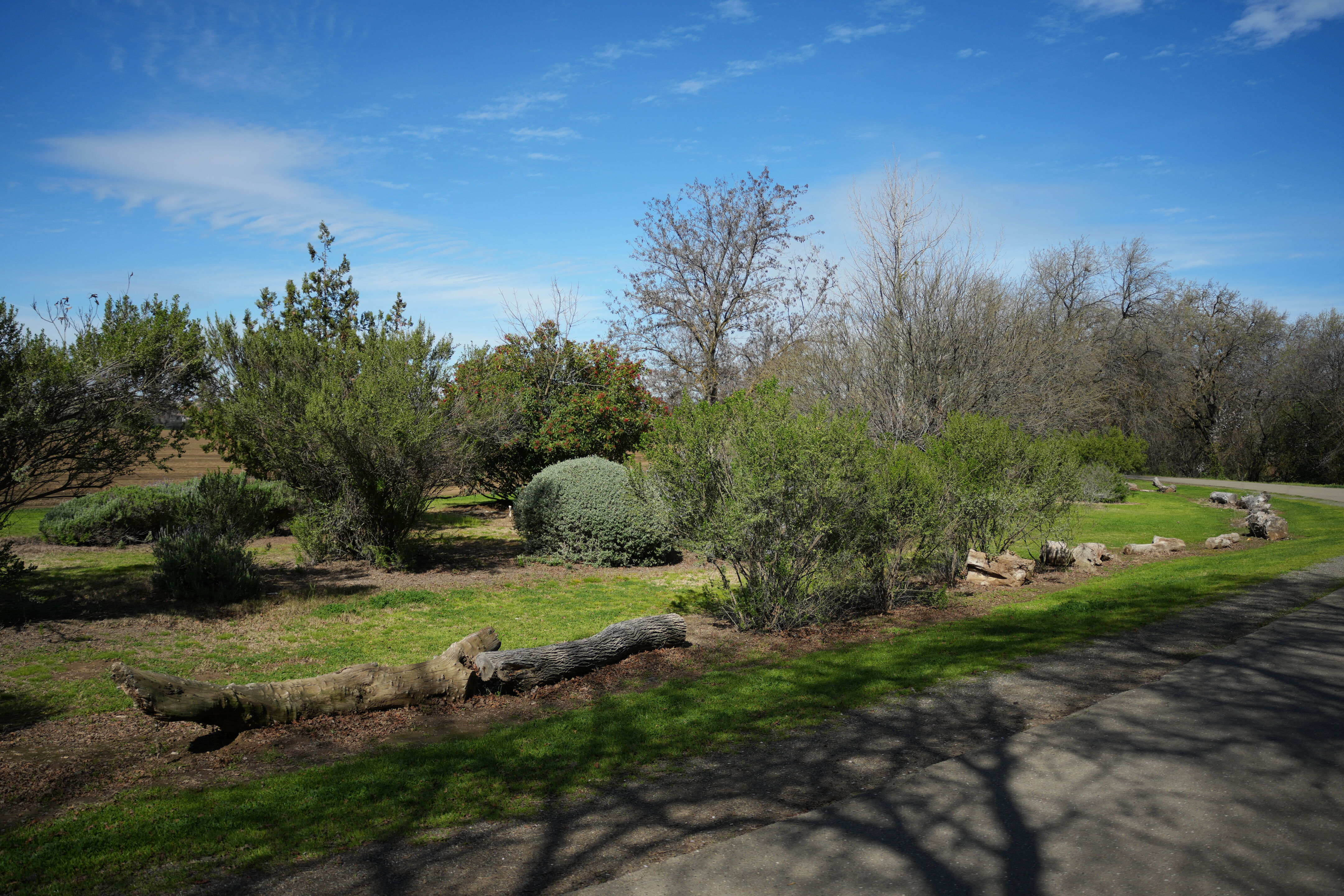 Marsh Creek Regional Trail