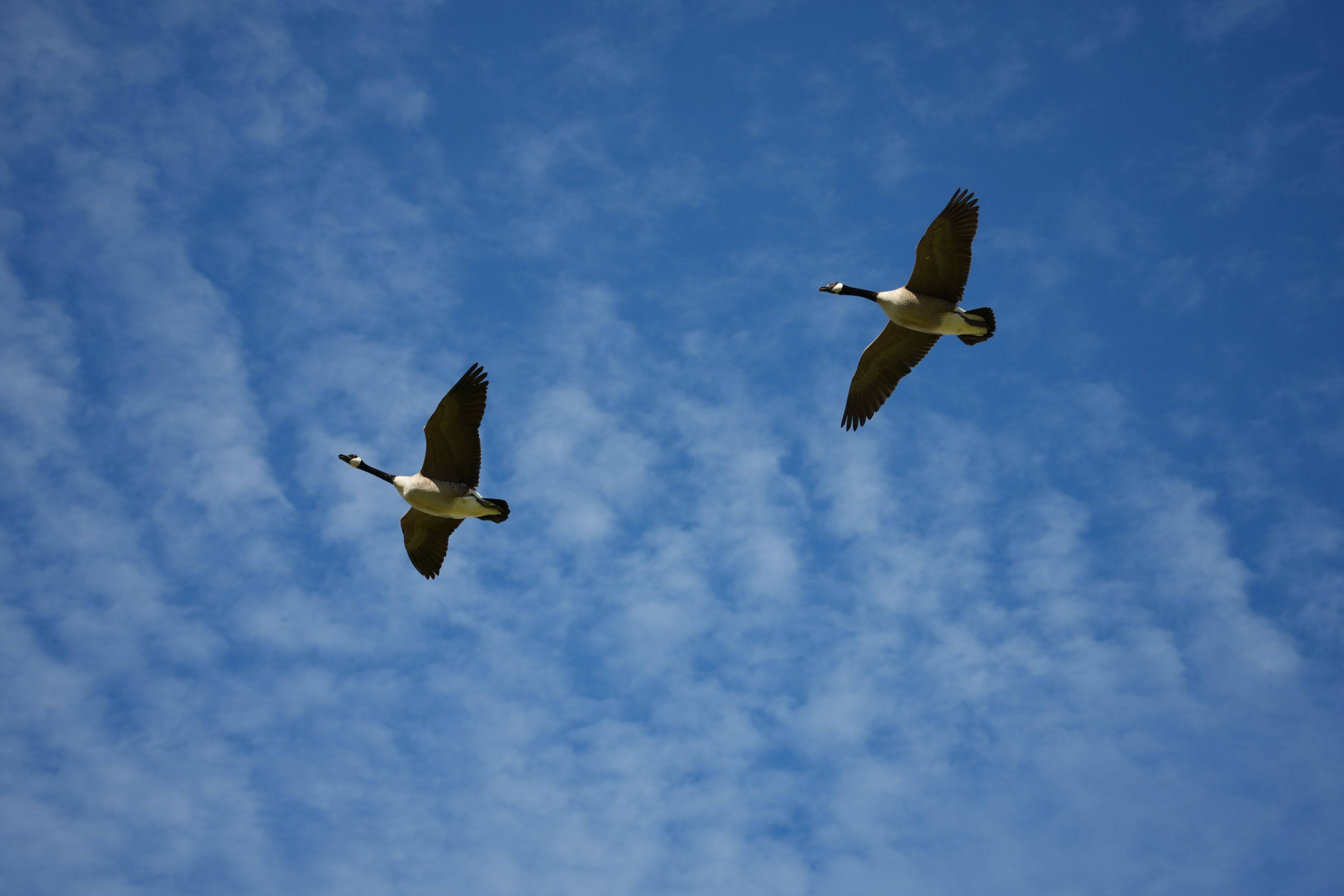 Marsh Creek Regional Trail