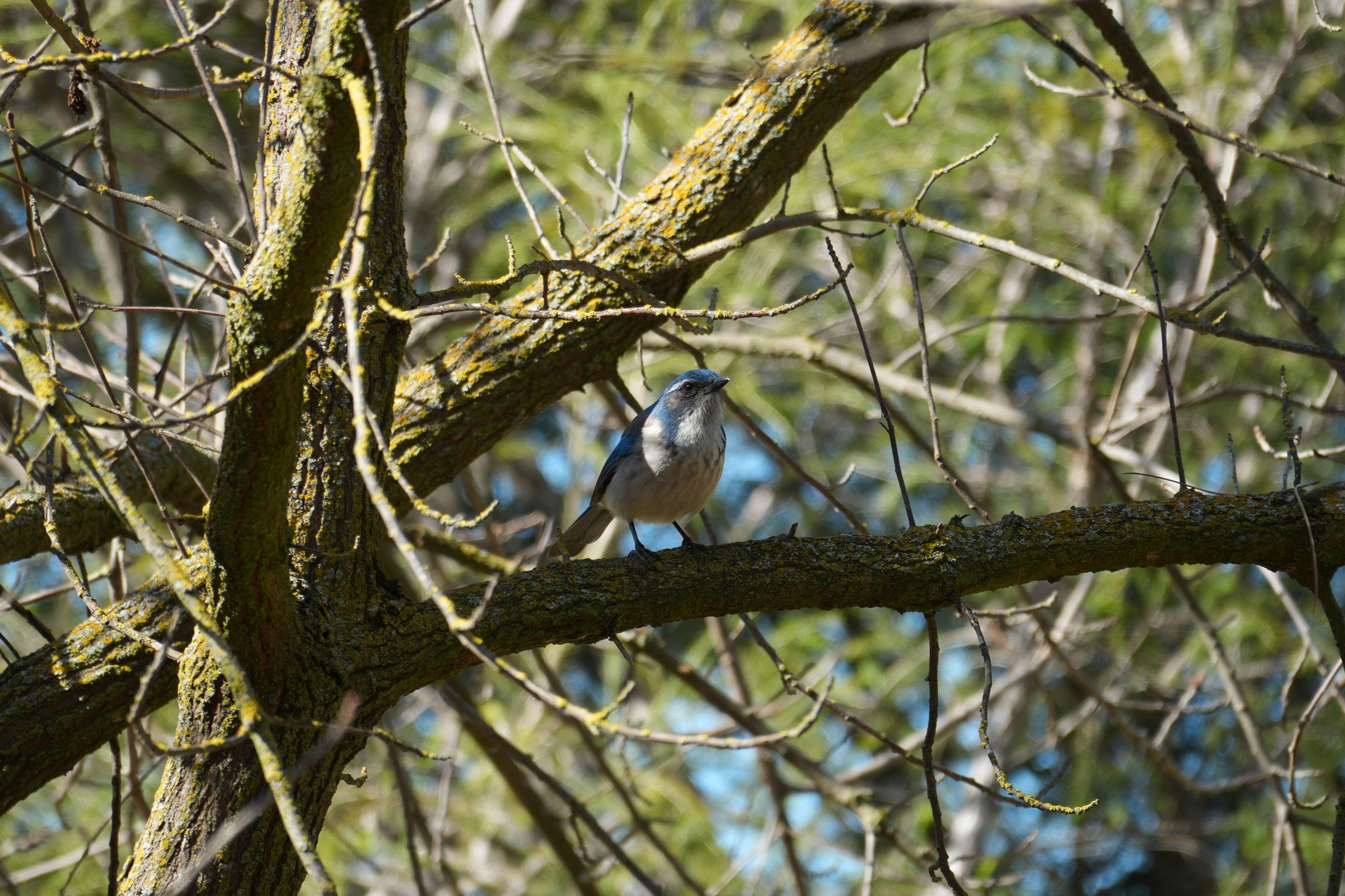 Marsh Creek Regional Trail
