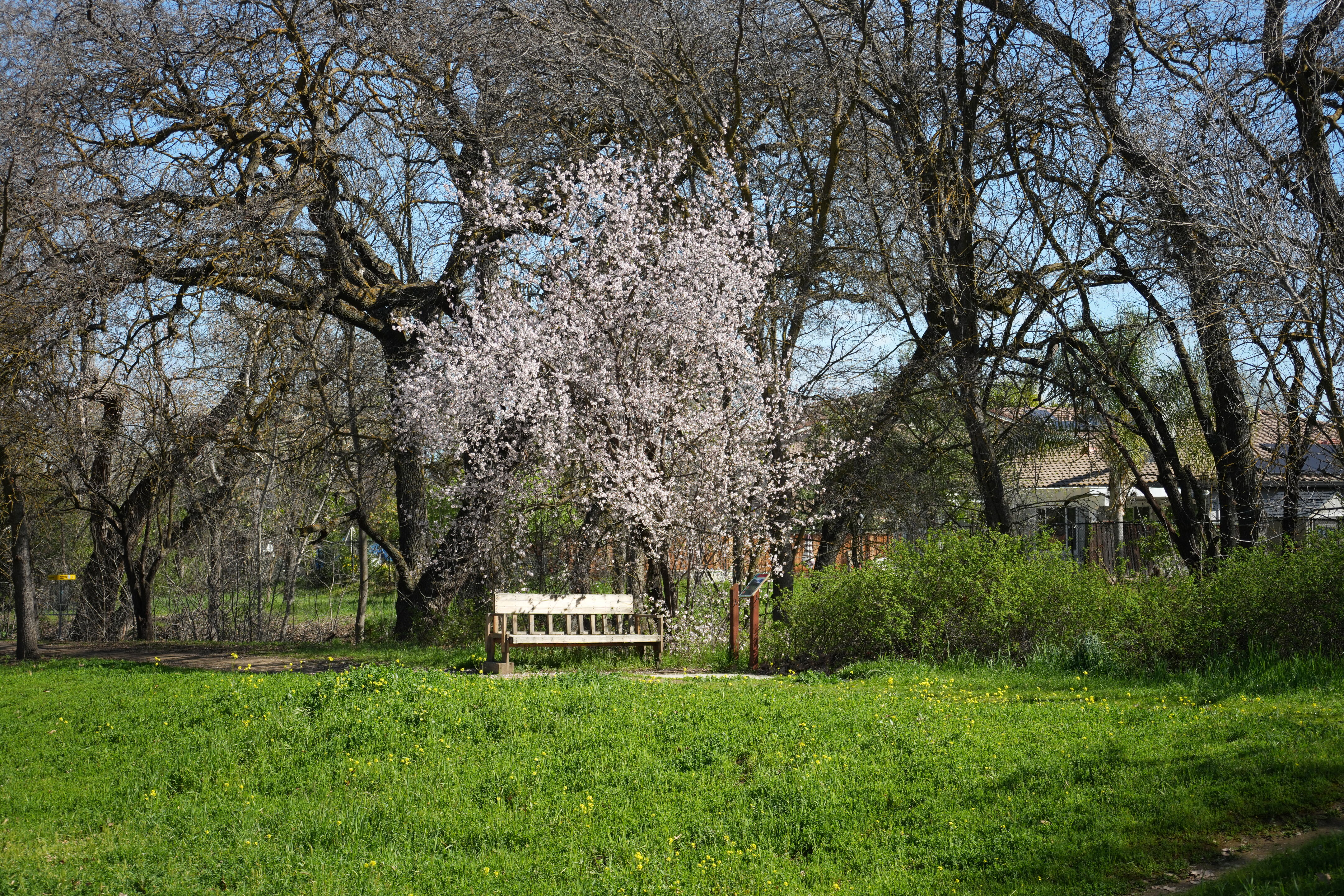 Marsh Creek Regional Trail