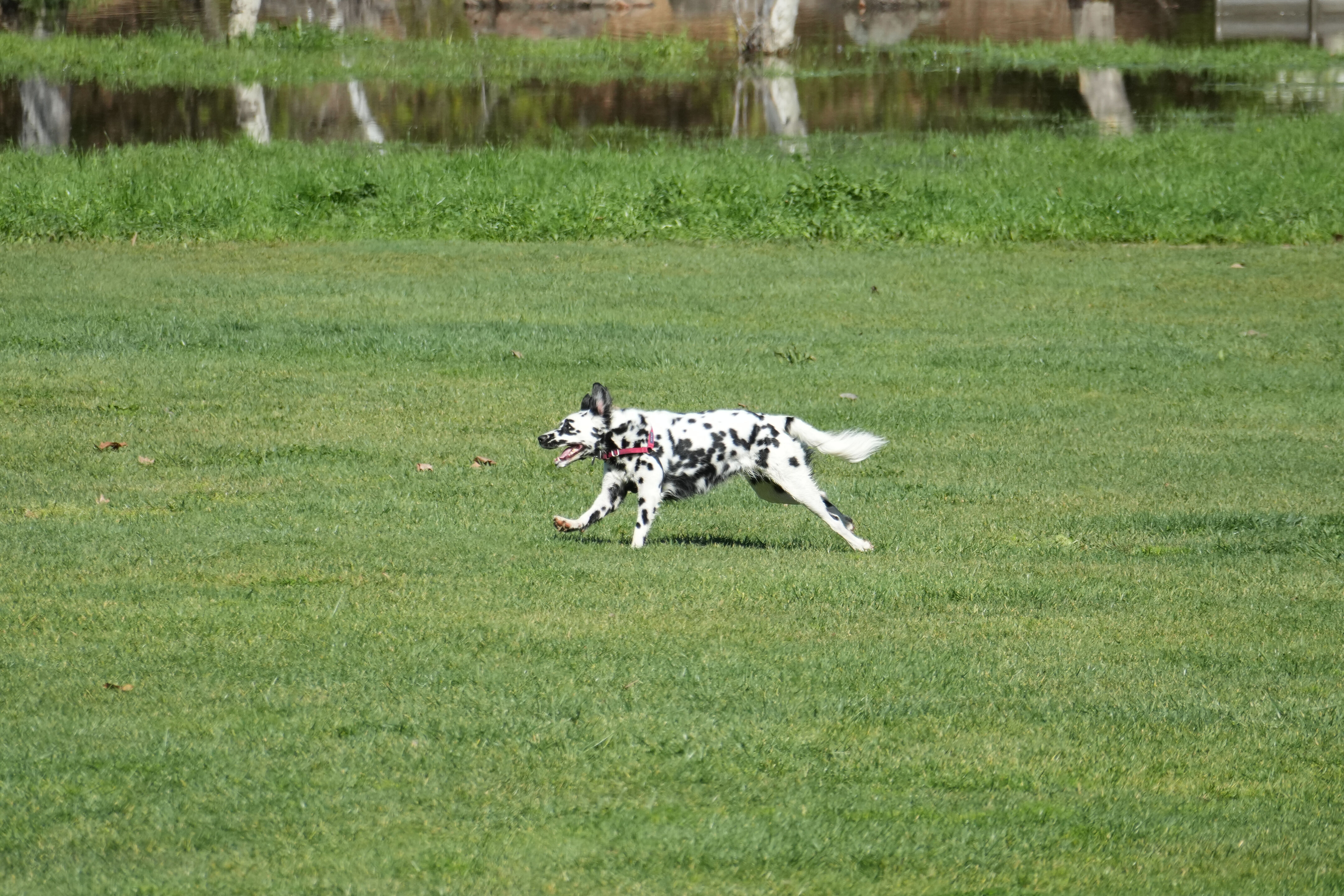 Marsh Creek Regional Trail