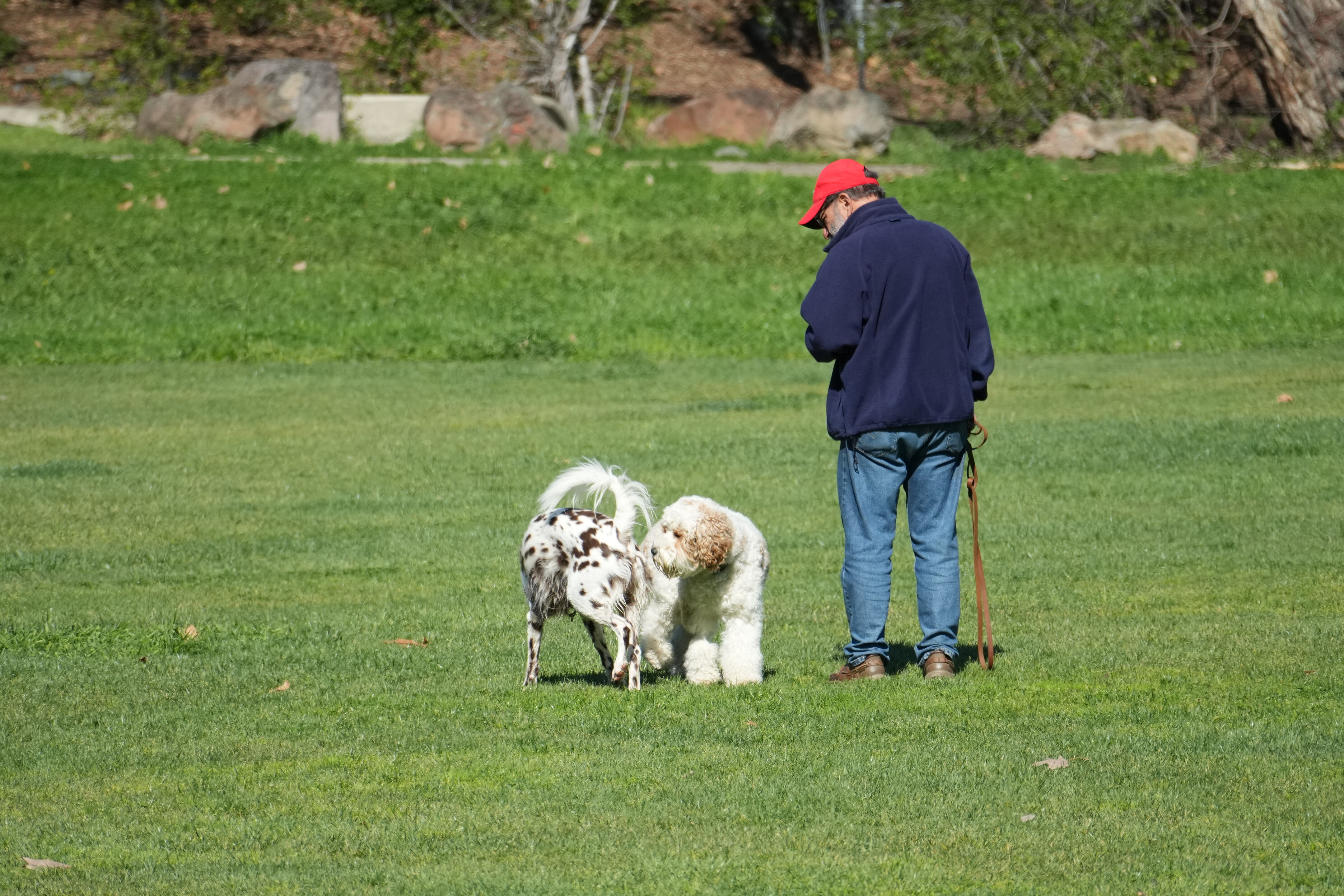 Marsh Creek Regional Trail