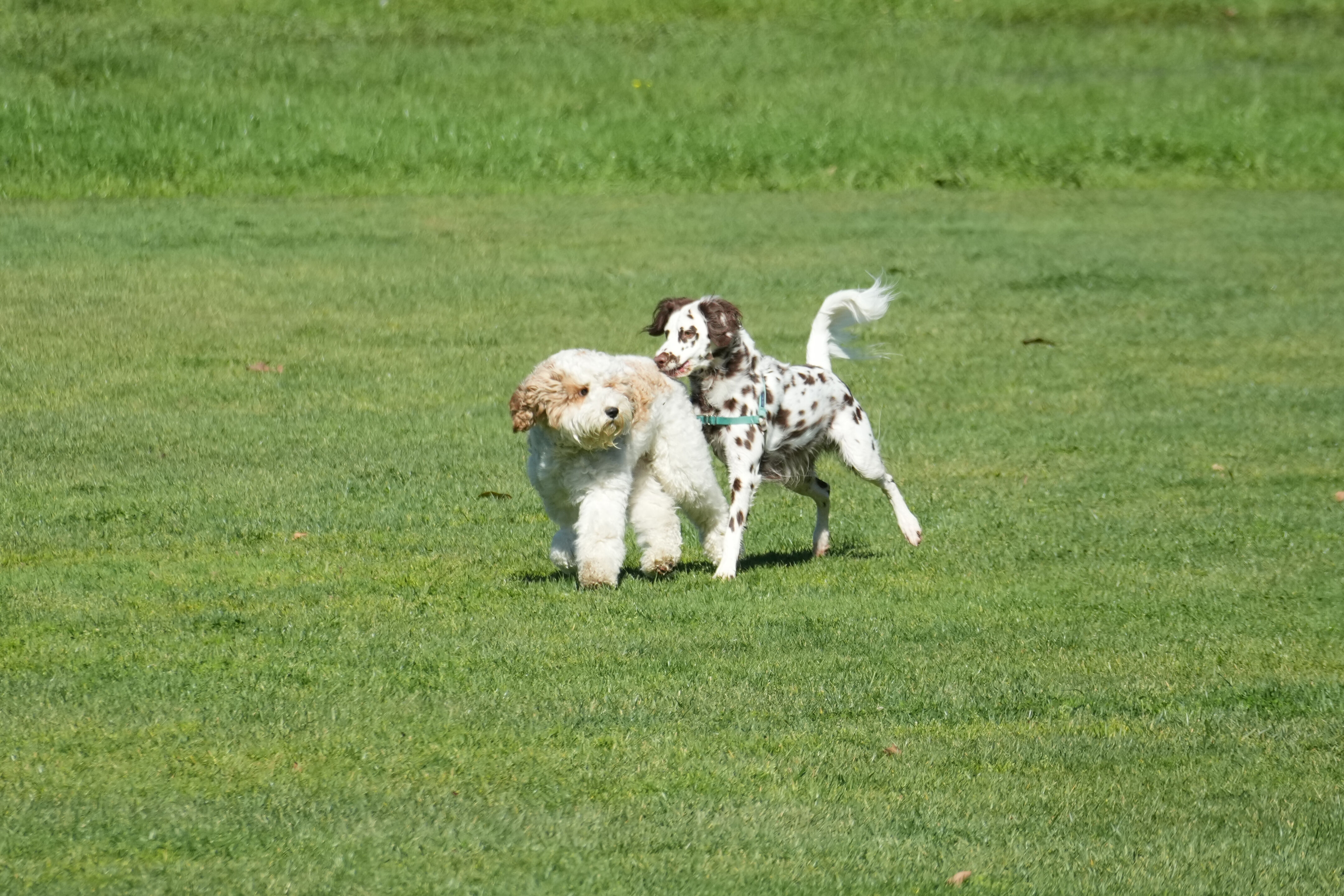 Marsh Creek Regional Trail
