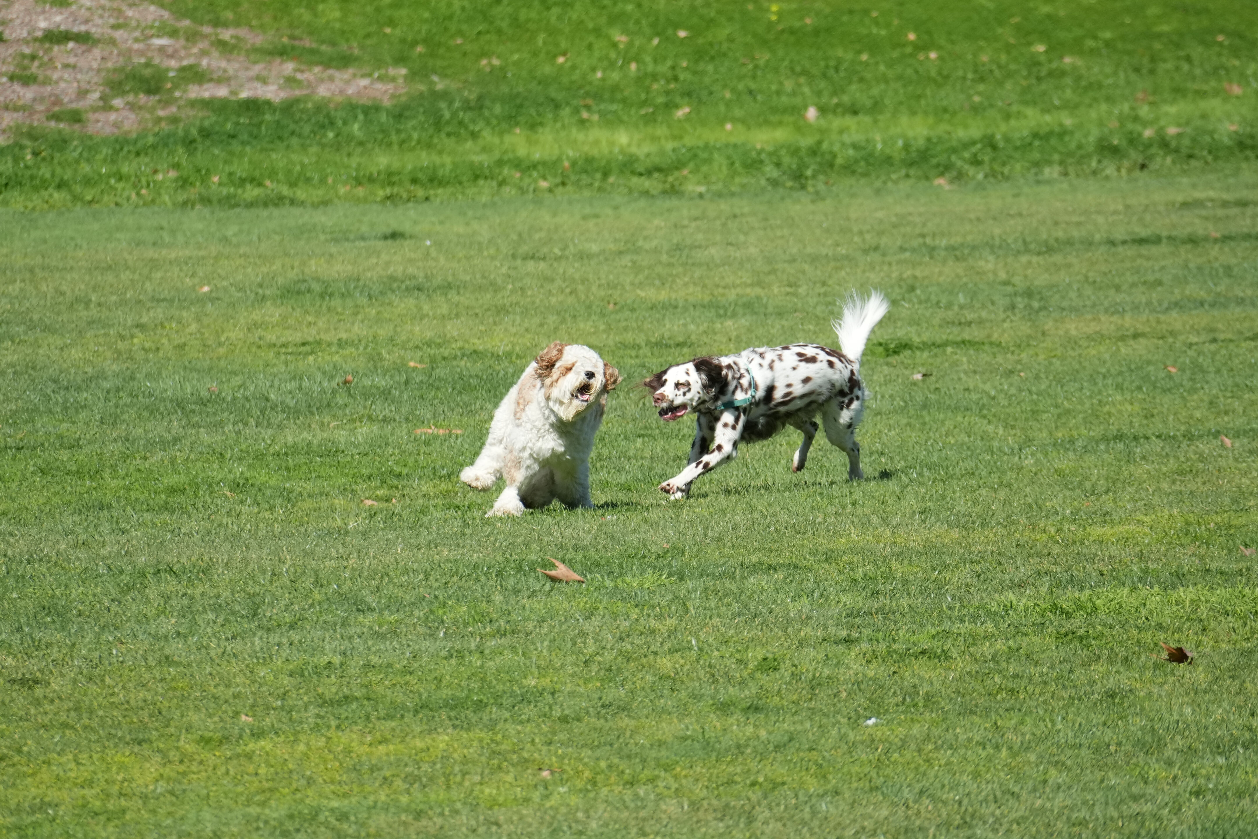 Marsh Creek Regional Trail