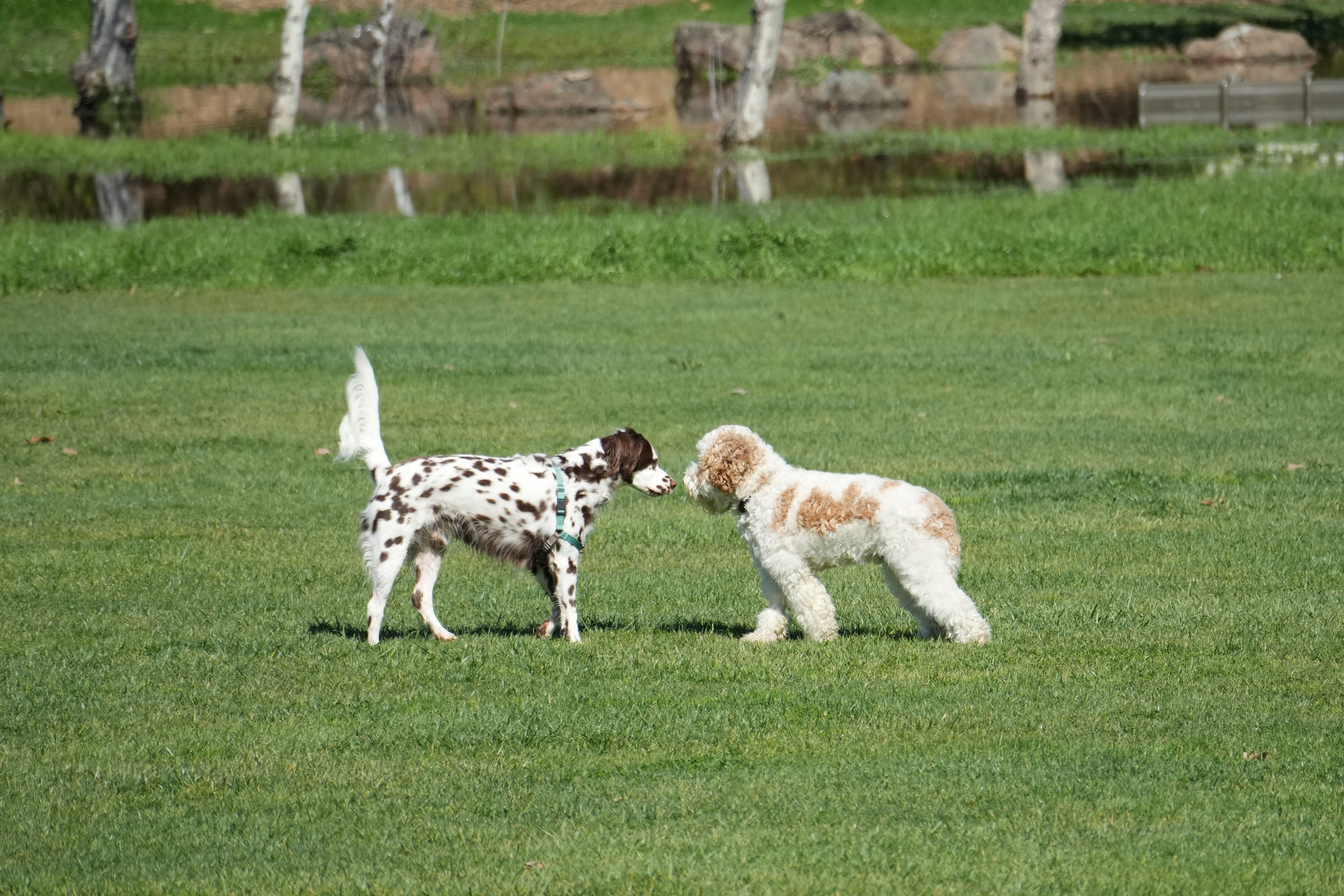 Marsh Creek Regional Trail