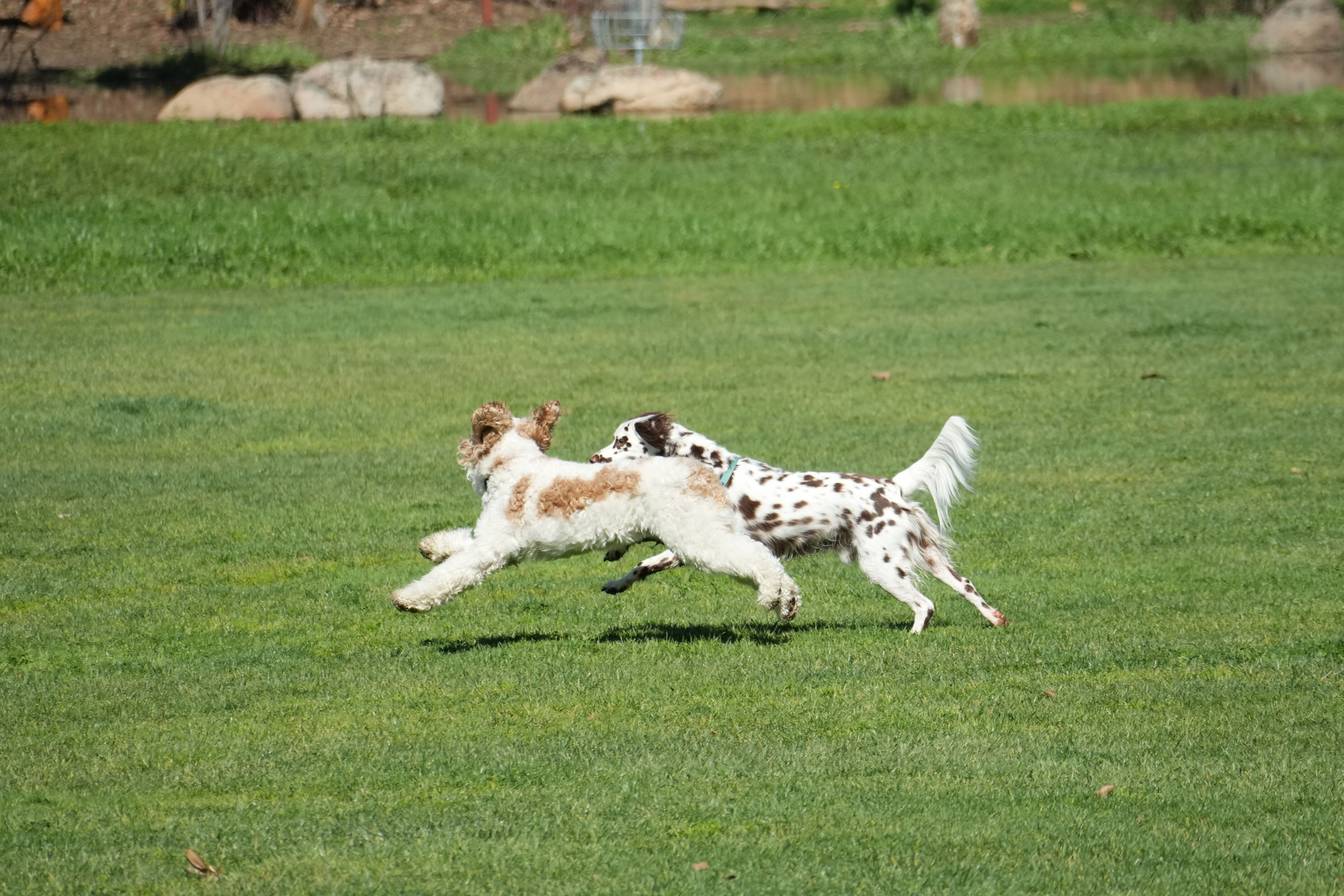 Marsh Creek Regional Trail