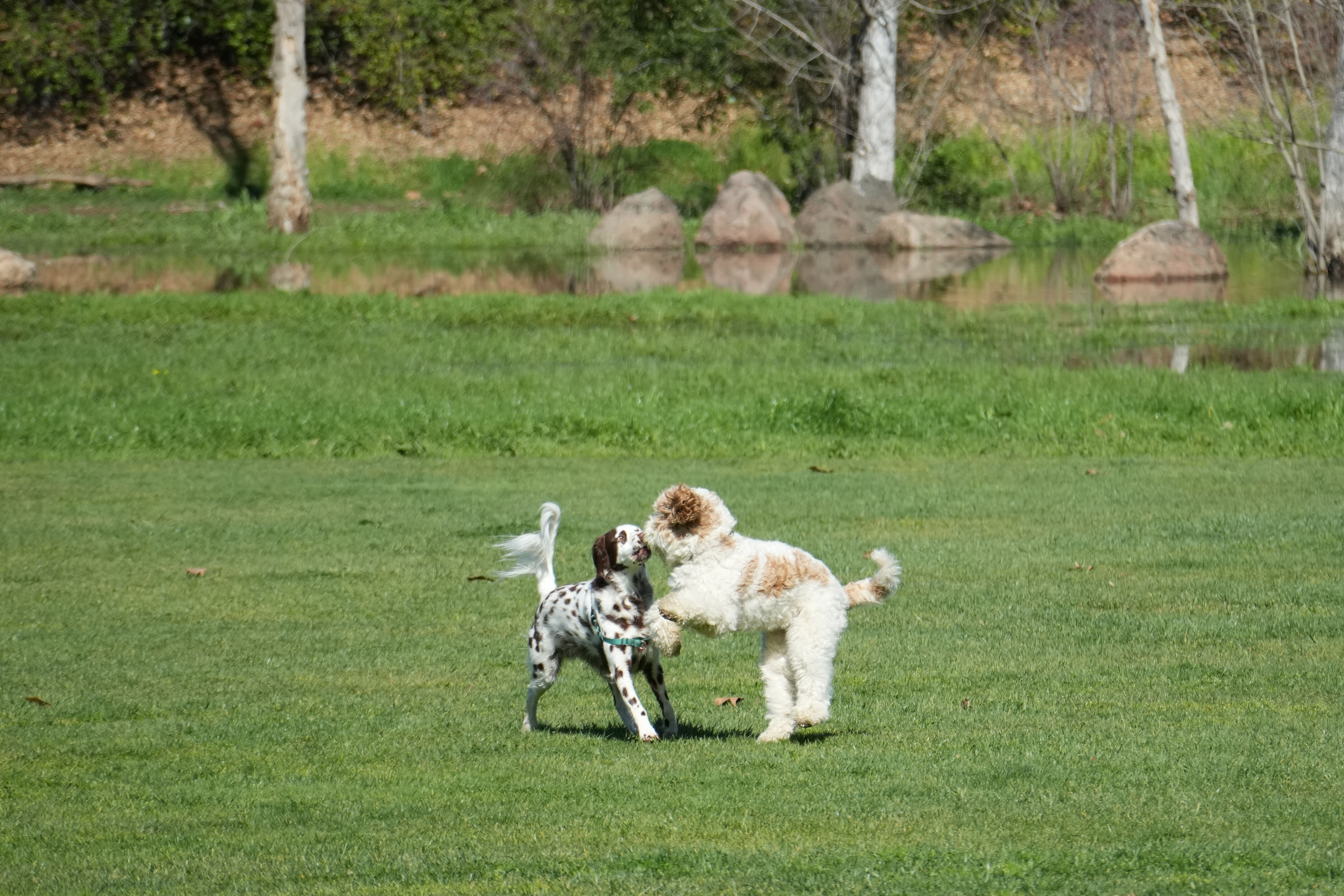 Marsh Creek Regional Trail