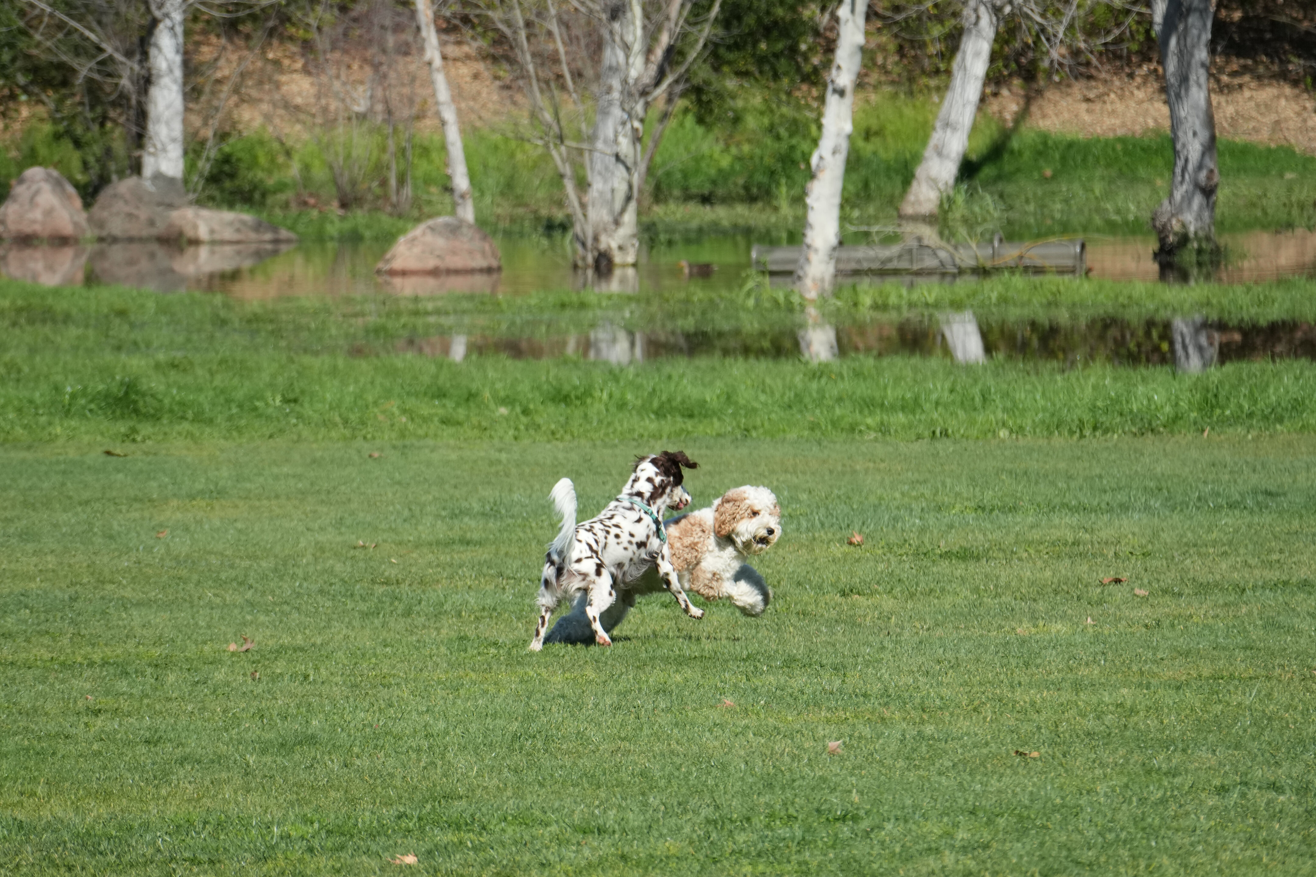 Marsh Creek Regional Trail