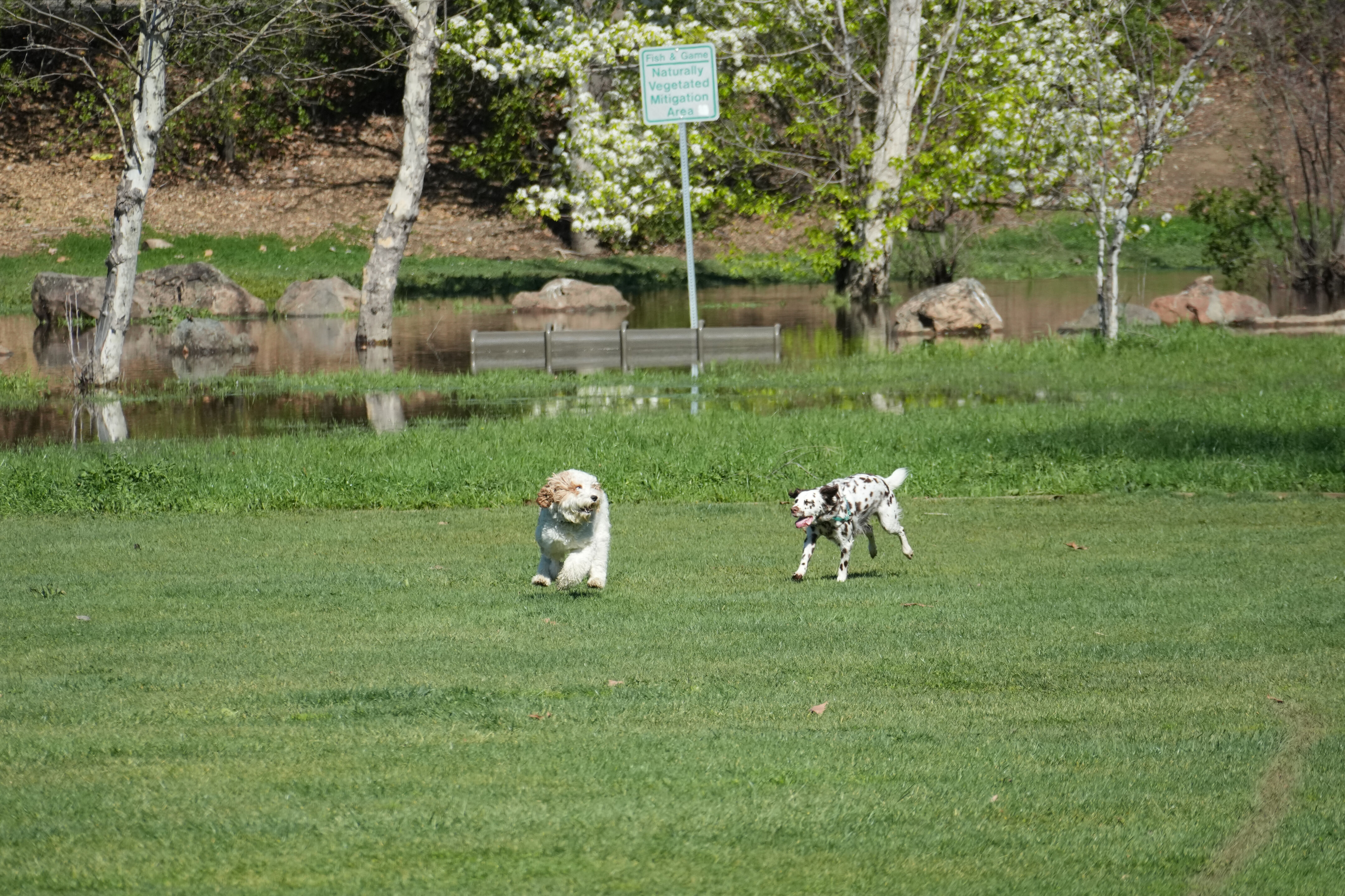 Marsh Creek Regional Trail